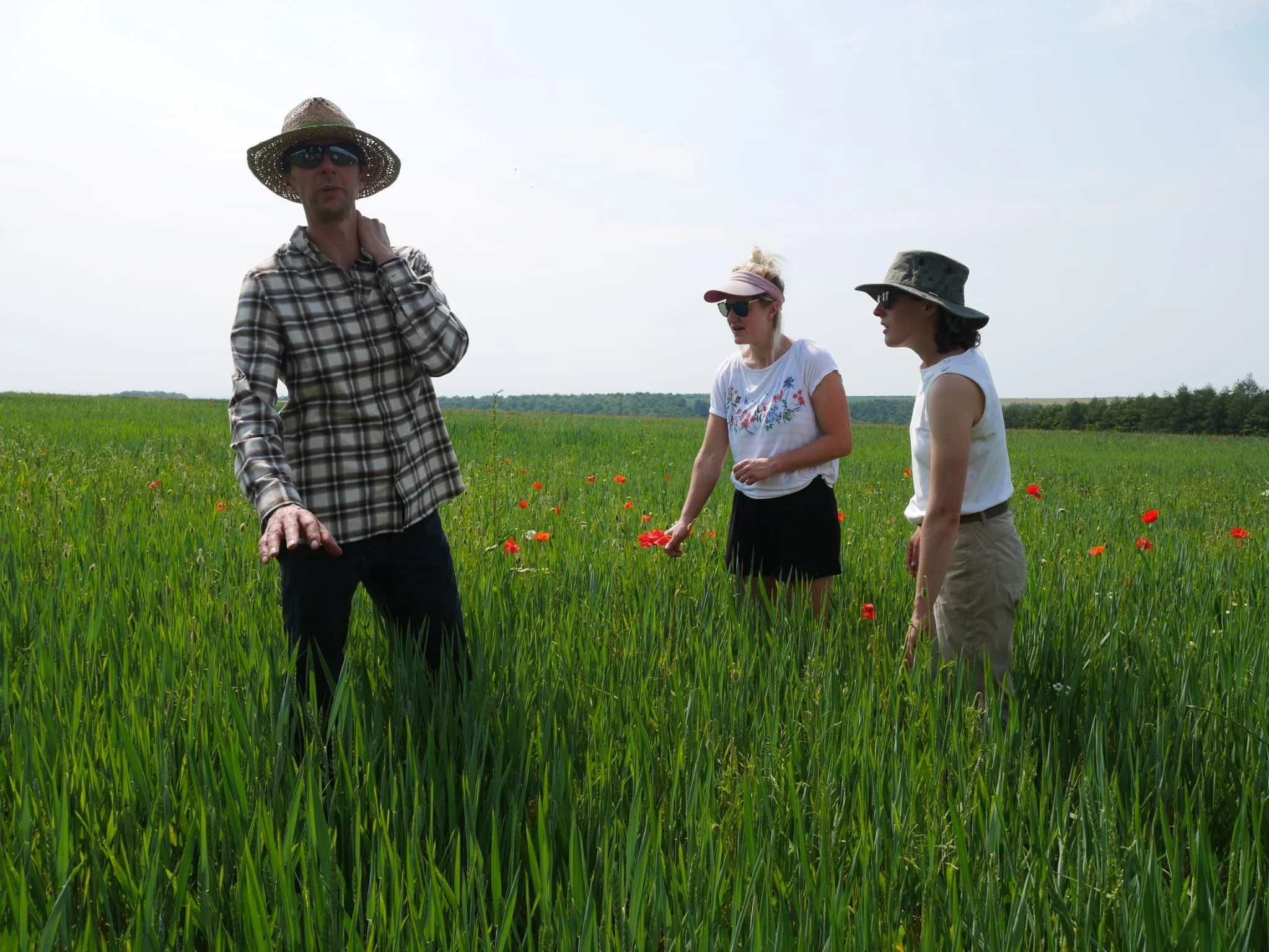 Yorkshire Grain Alliance farm visit