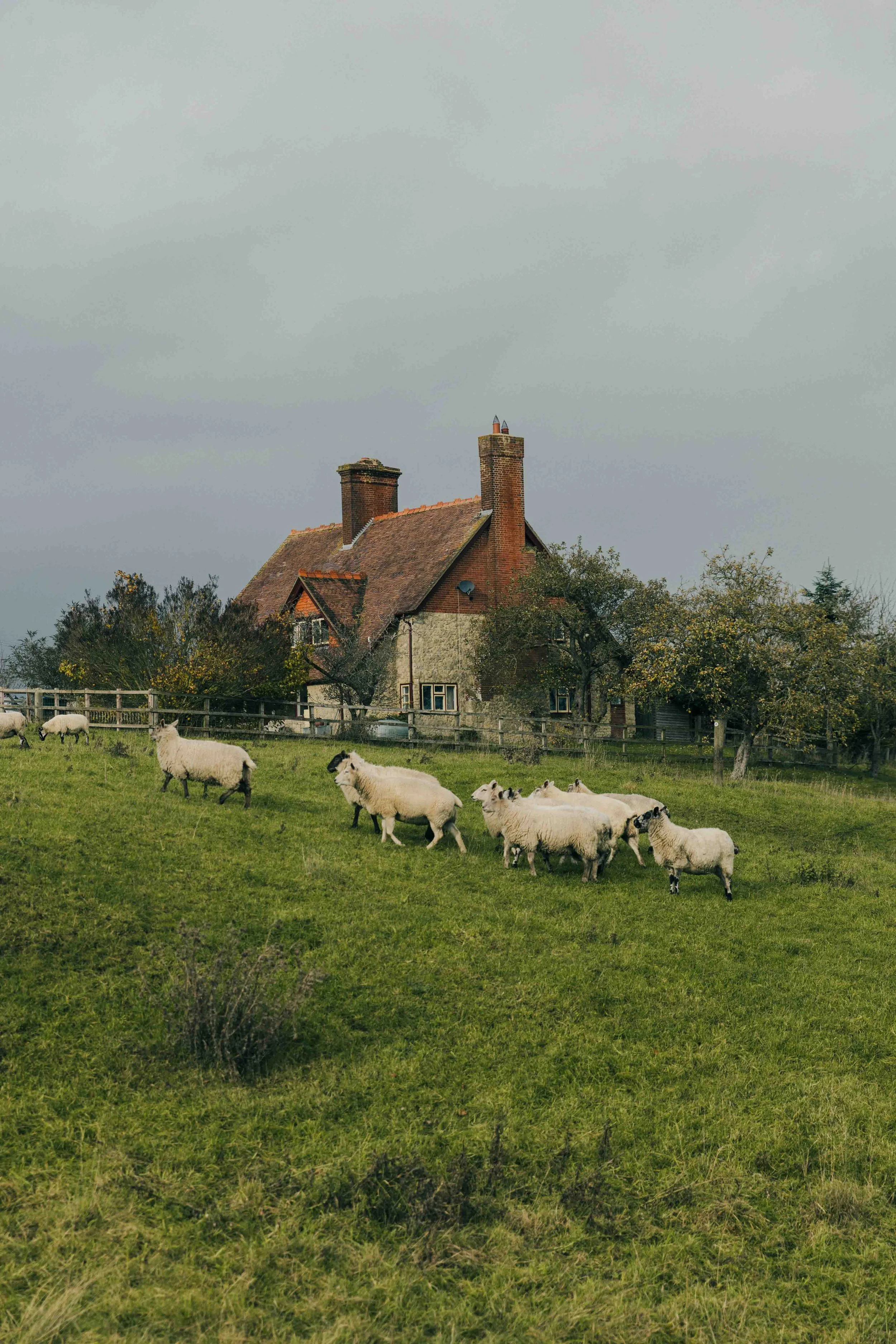 Aylesbury Circular Walk- Gateway to the Chiltern Hills with Waddesdon & Historic Churches-47.jpg