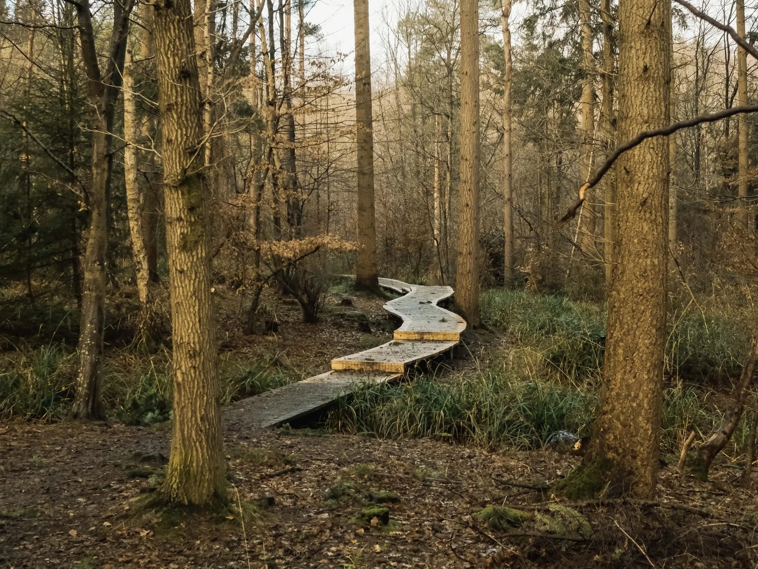 Hertfordshire+Way+Cuffley+to+Hertford+Hertfordshire+Hike+Trekking+14.jpg