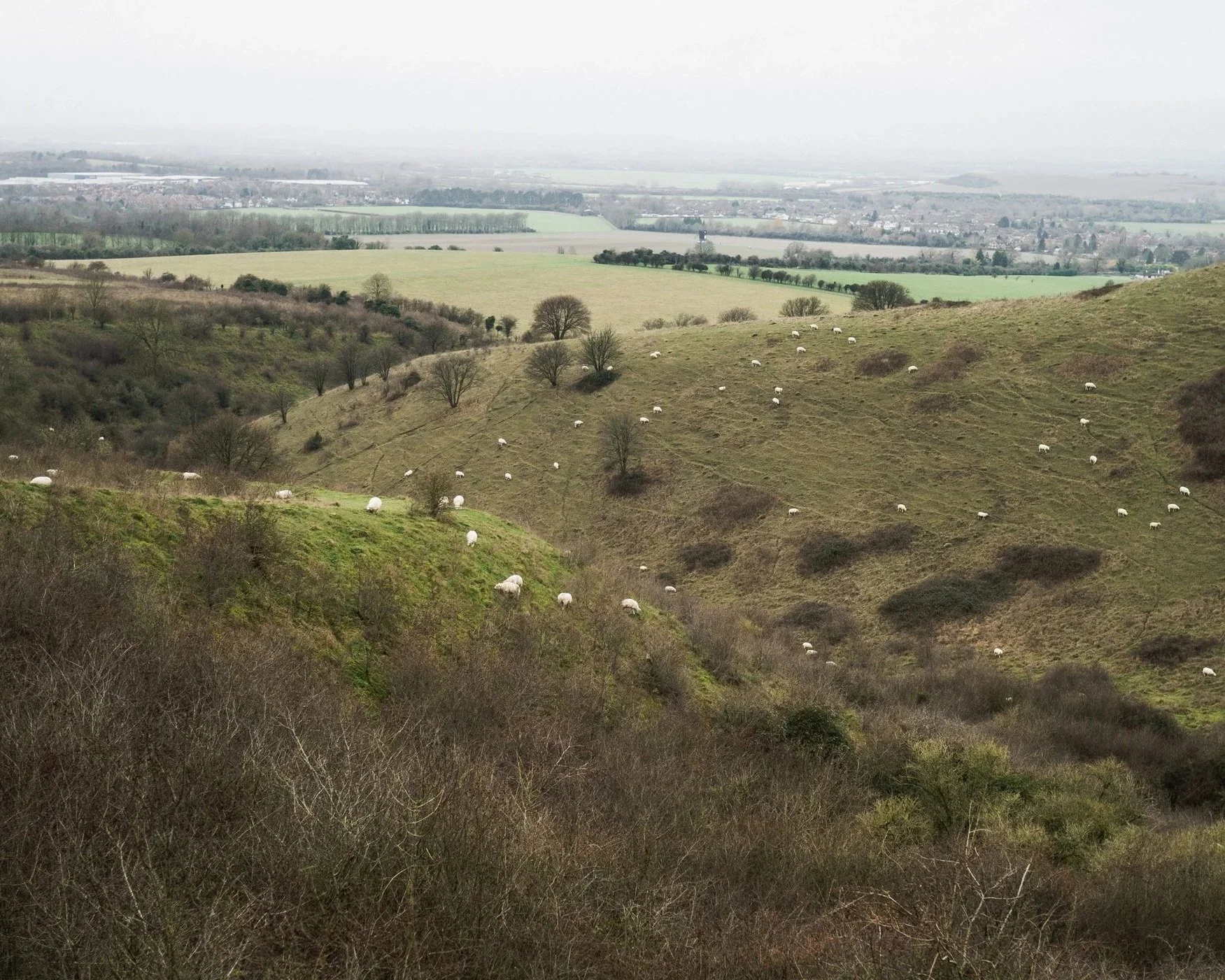 Ivinghoe+Beacon+Day+Walk+Near+London-4.jpg
