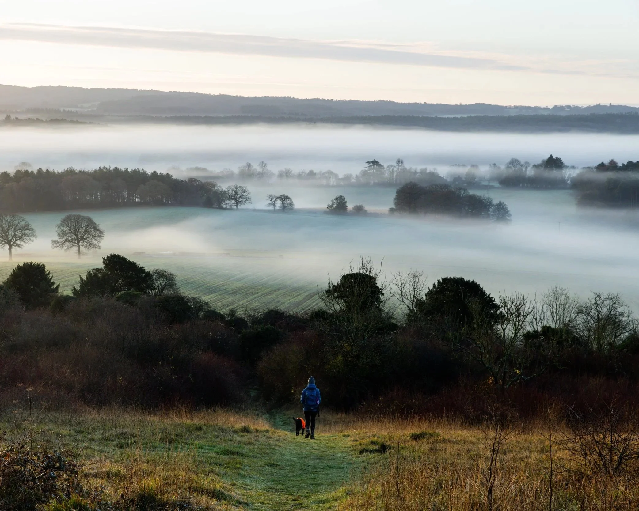 Best+Walks+In+Surrey+Best+Walks+in+North+Downs+2.jpg