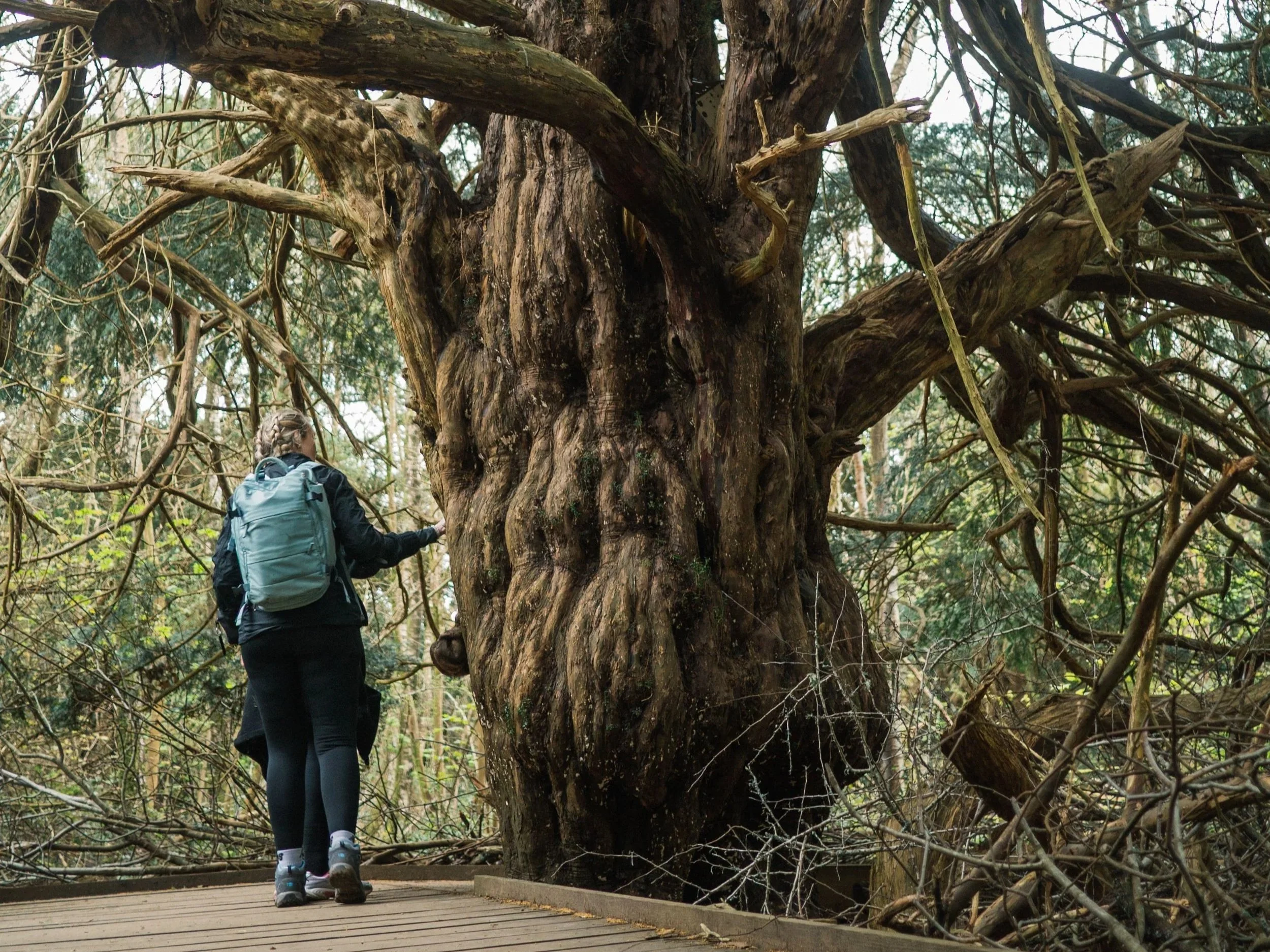 best+walks+near+london+best+surrey+north+downs+walks+shere+walks+uk+london+walks+amazing+walks+near+london+chess+river+valley+walks-11.jpg-17.jpg