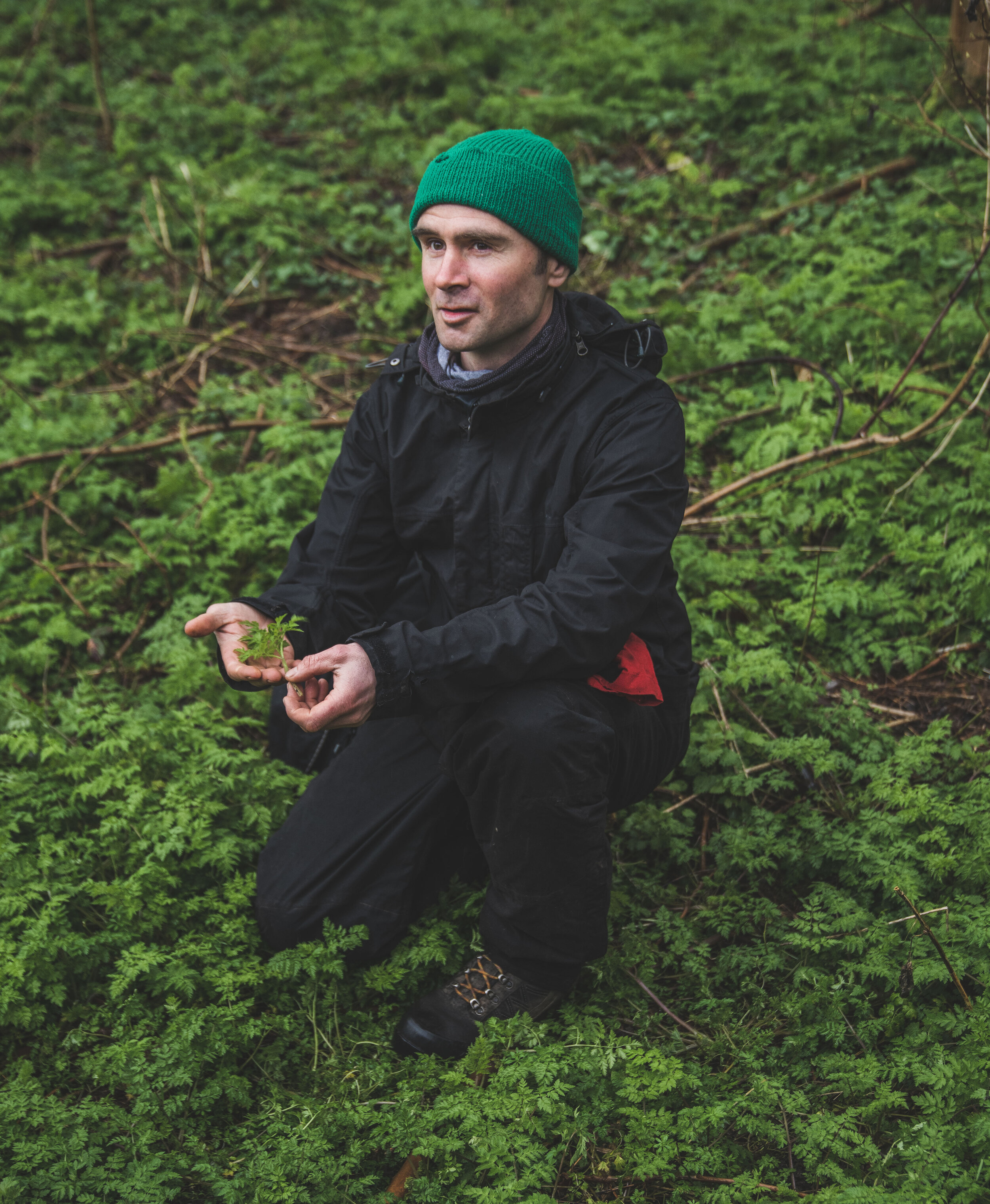 Forage.jpg
