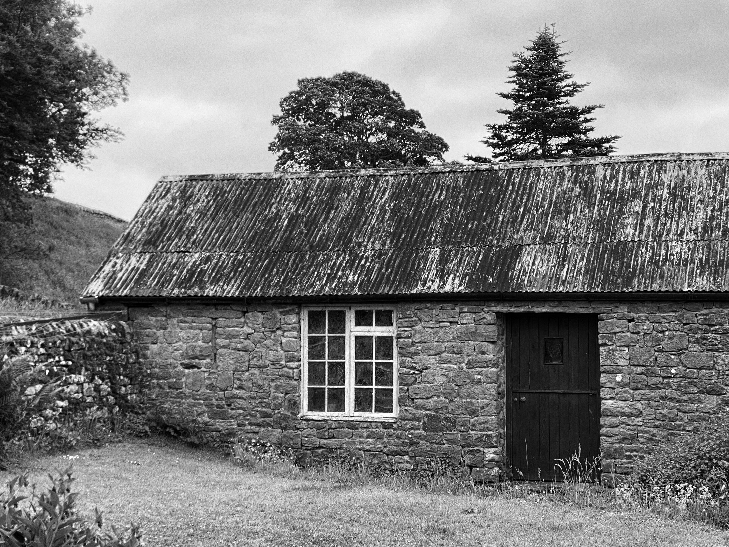 Hadrians wall path walk northumberland 4.jpg