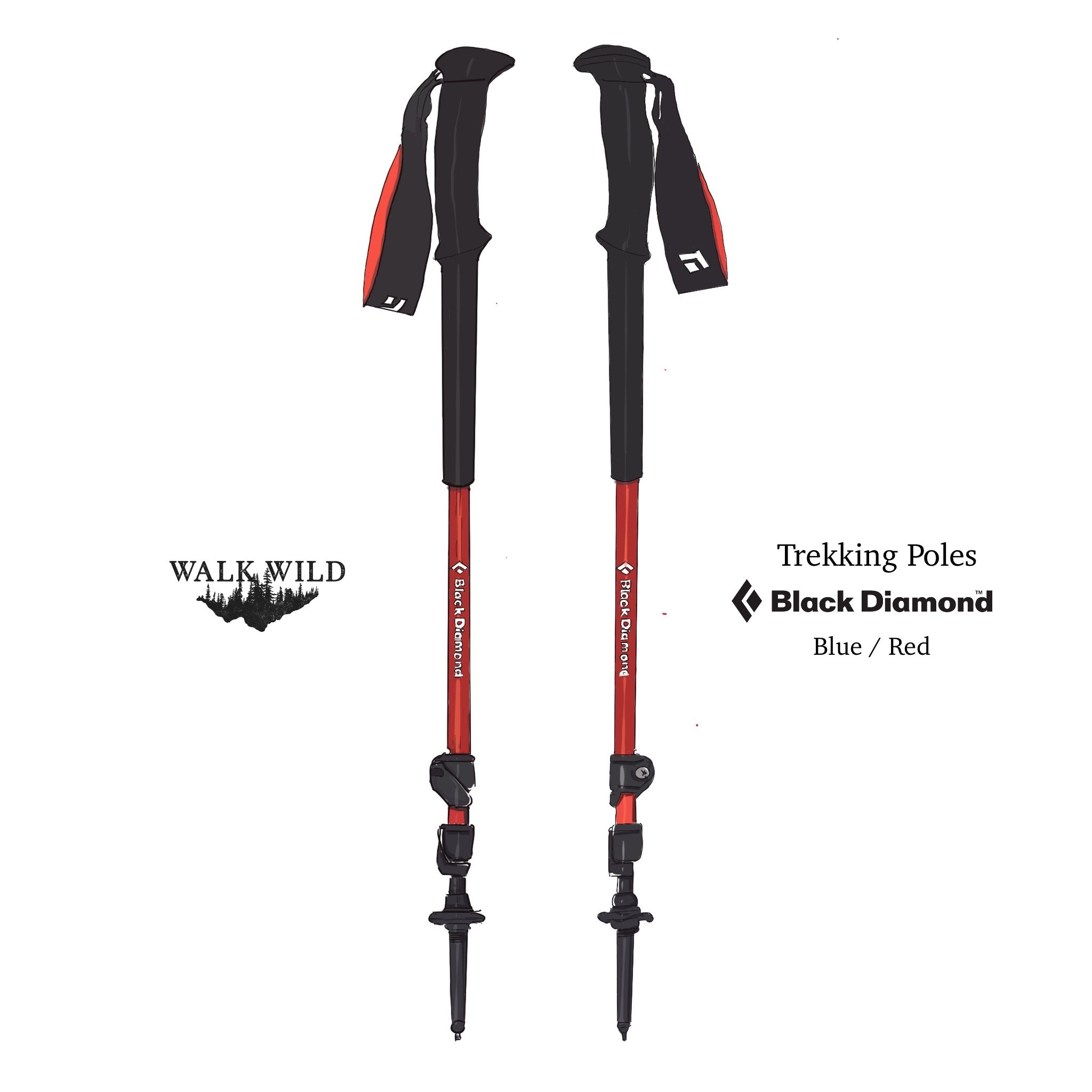 Black Diamond Trekking Poles - £8