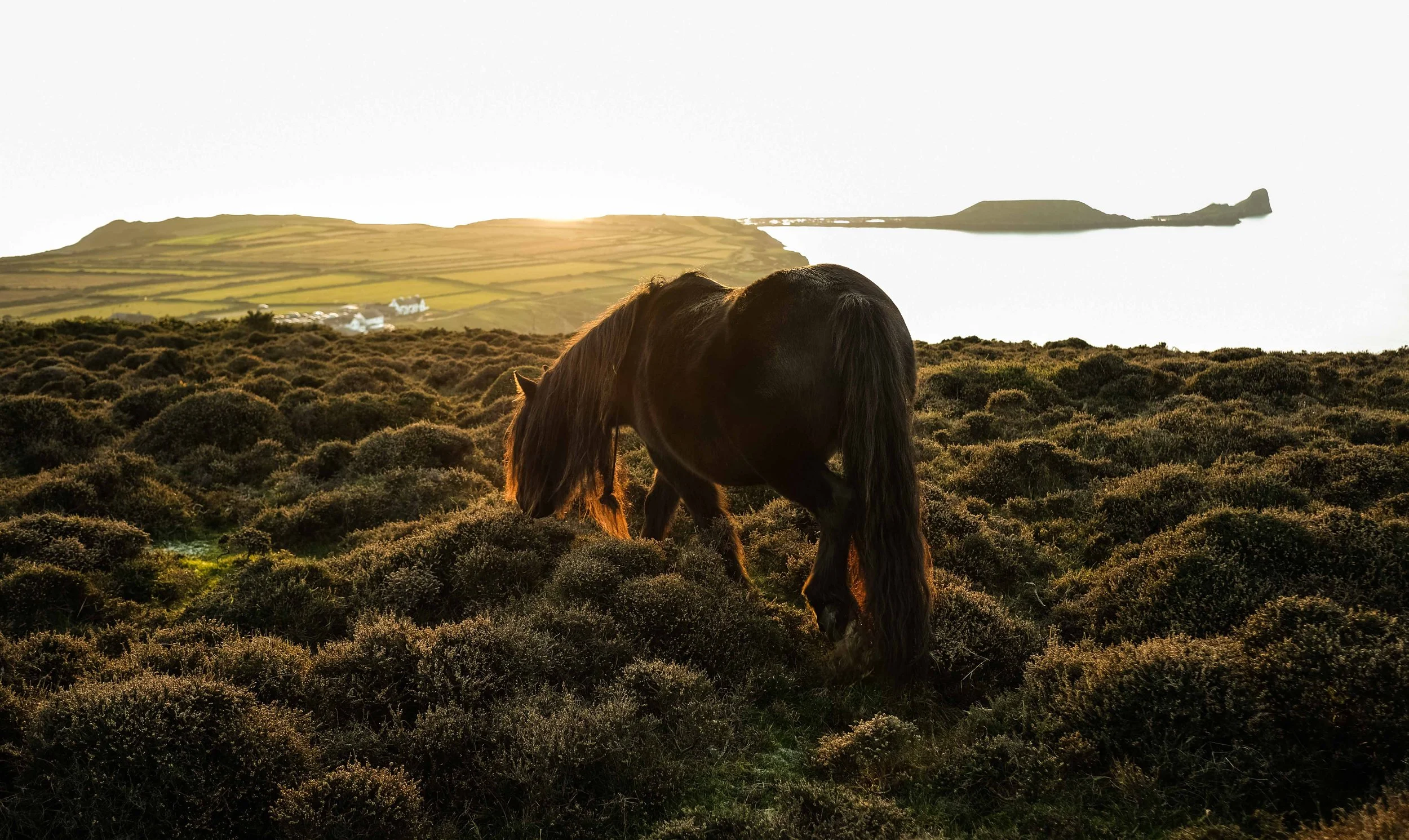Walking in the Gower Peninsula Wales Gower Walks__-15.jpg