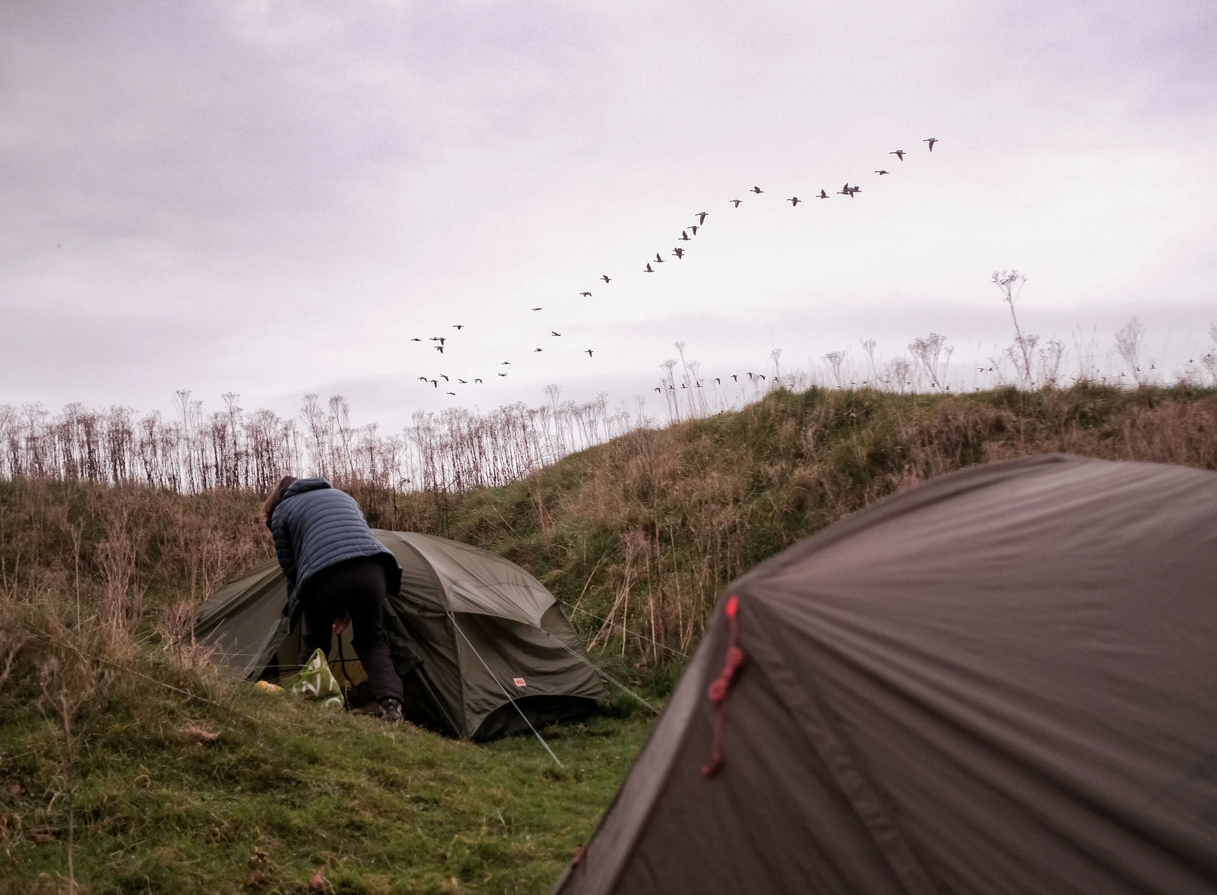 Cotswolds Way Cotswolds Wild Camping 13.jpg