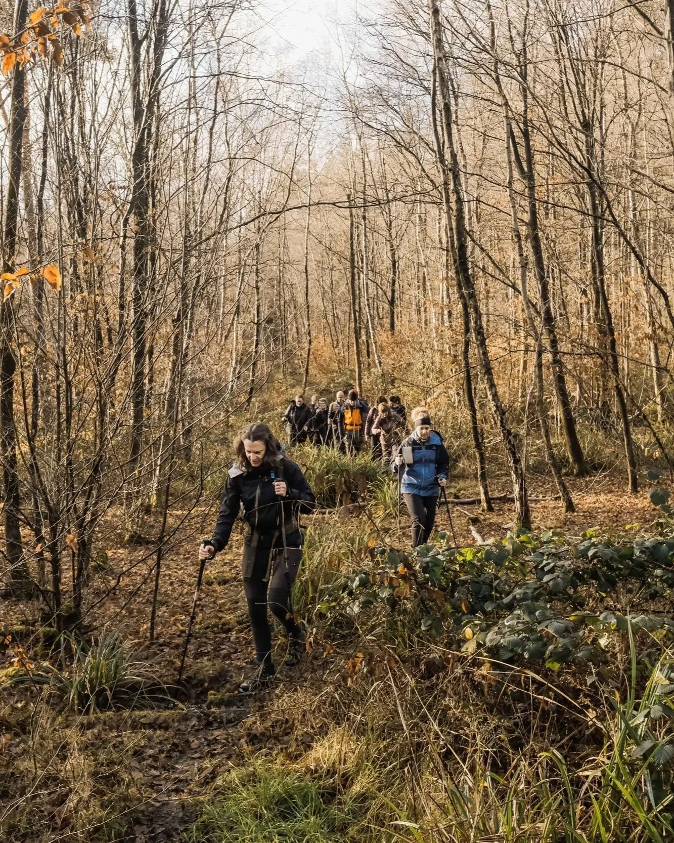 Hertfordshire+Way+Cuffley+to+Hertford+Hertfordshire+Hike+Trekking+10.jpg