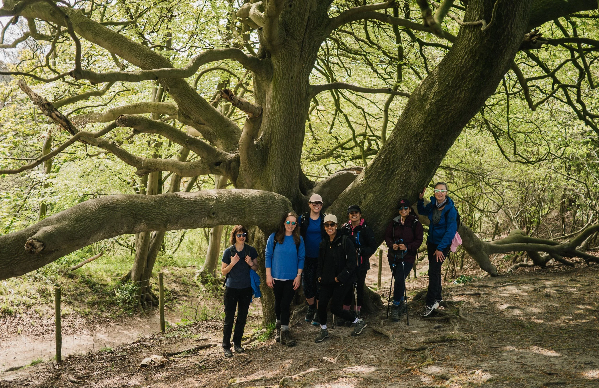 Walks in wendover best walks in the chilterns best walks near wendover amazing walks near london amazing walks in the chilterns -33.jpg
