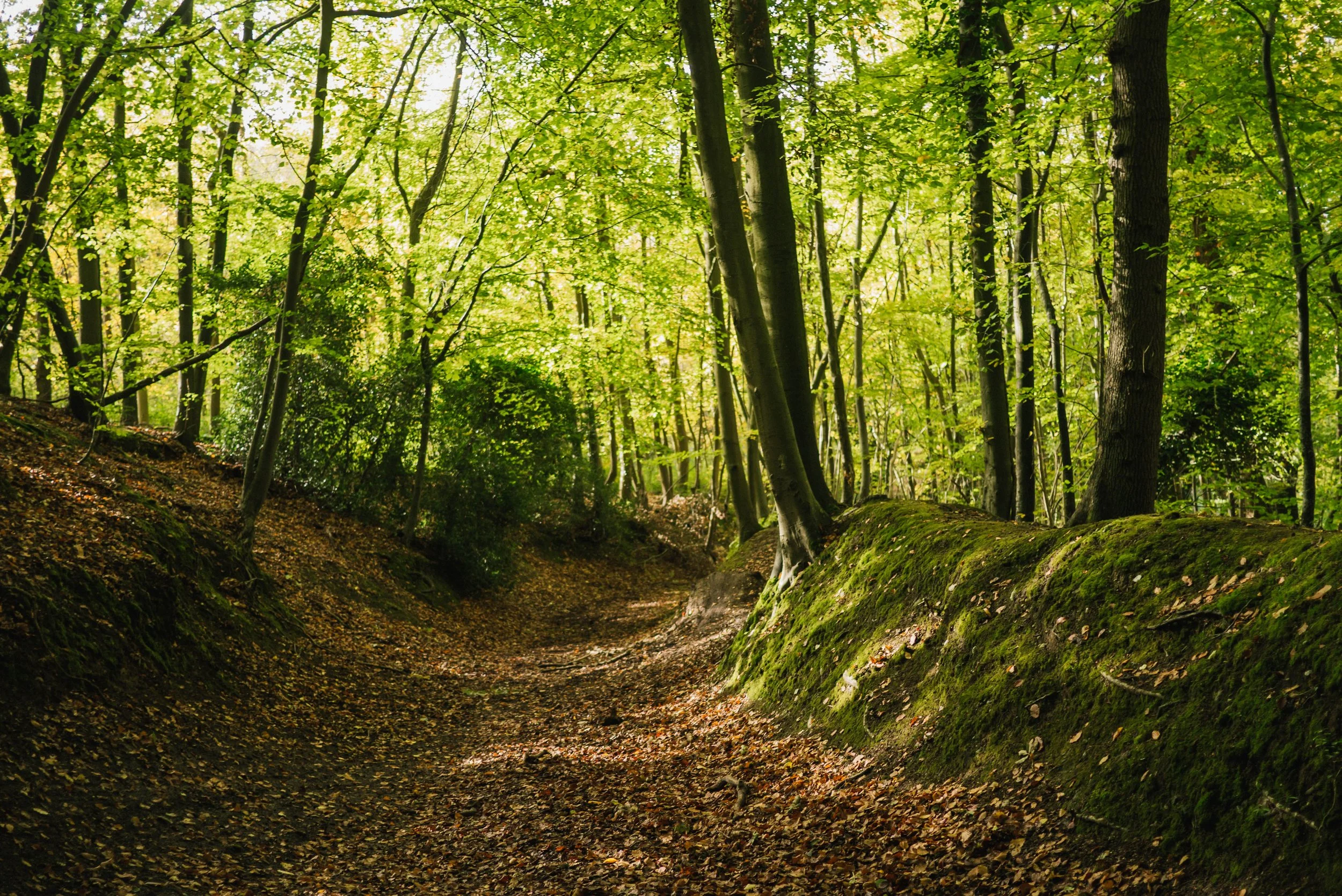 best-countryside-walks-near-london-guided-walks-from-london-marlow-cookham-.jpg-15.jpg
