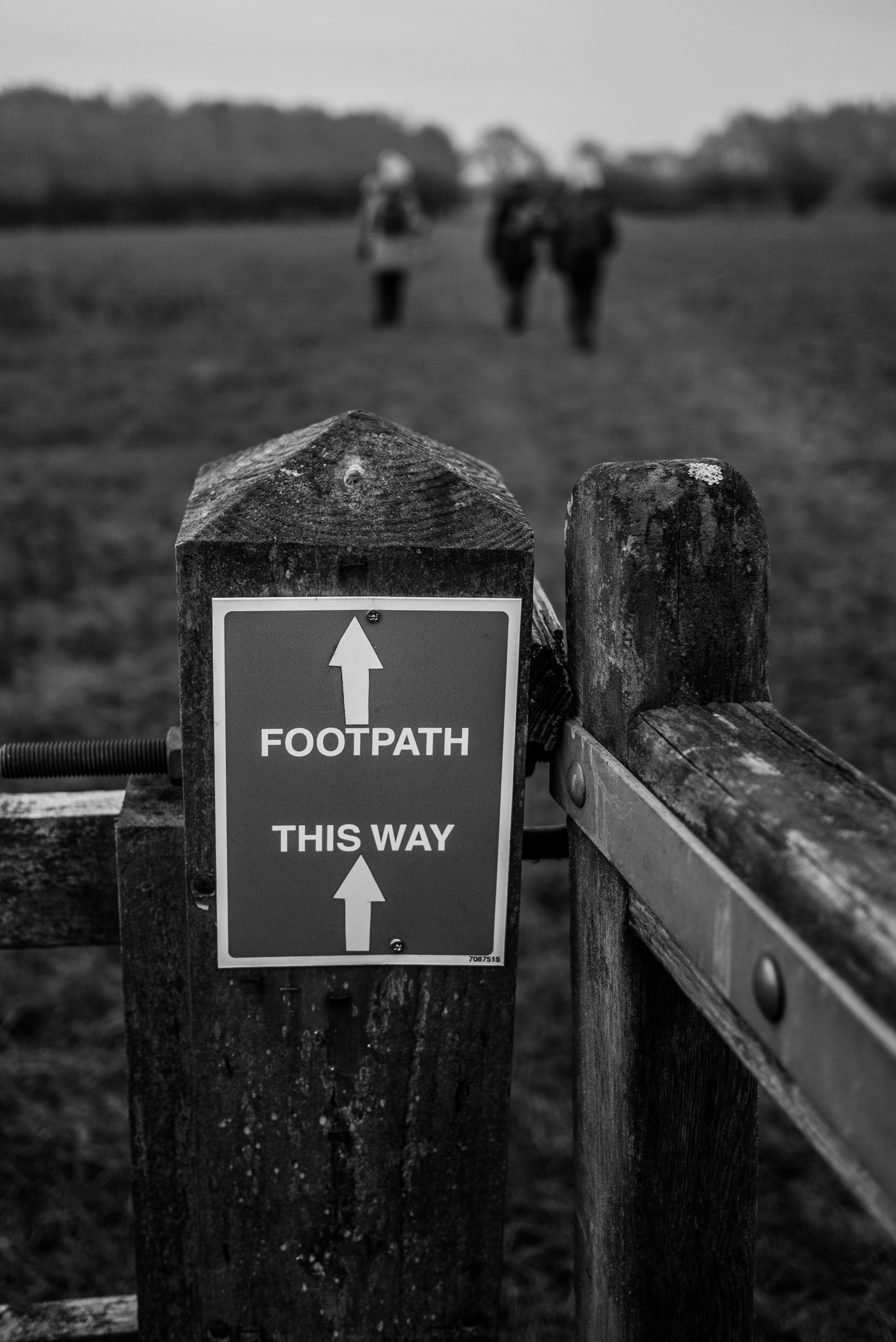 Ivinghoe Beacon Day Walk Near London-20.jpg