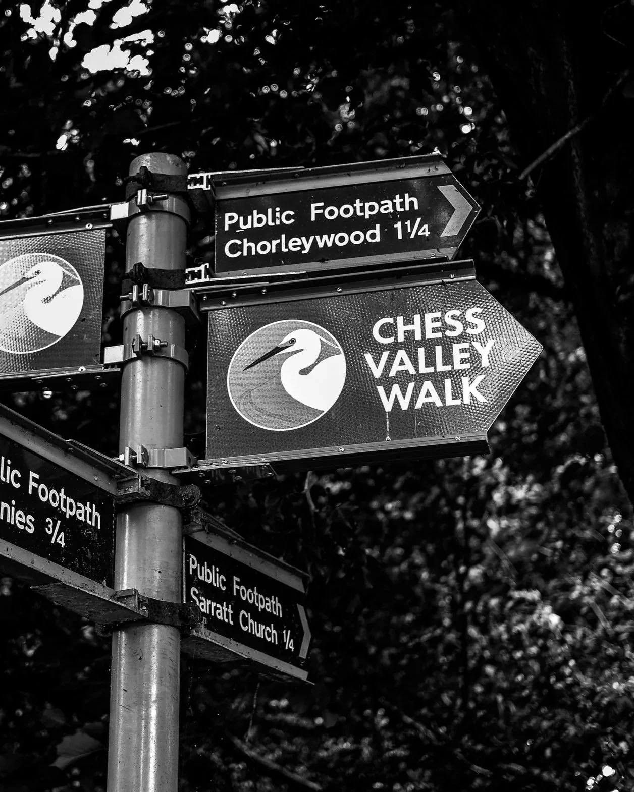 Chess+River+Day+Walk+Near+London+5.jpg
