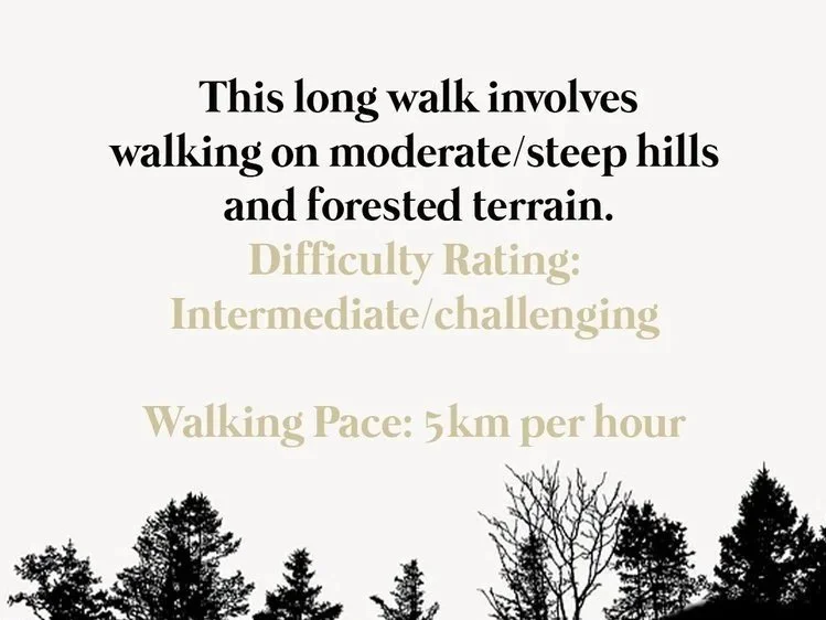 Wendover+Walks+Ridegeway+National+Trail+Walks+in+Wendover.jpg