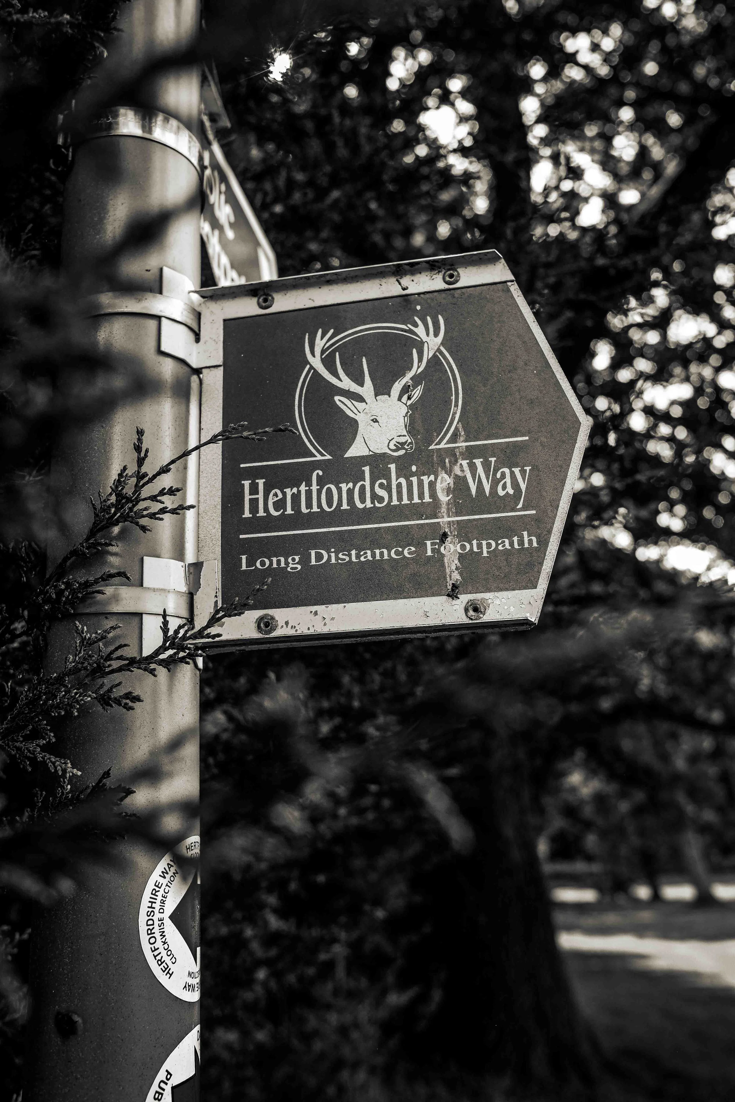 Map and Compass Training Near London Map Reading Near London-11.jpg