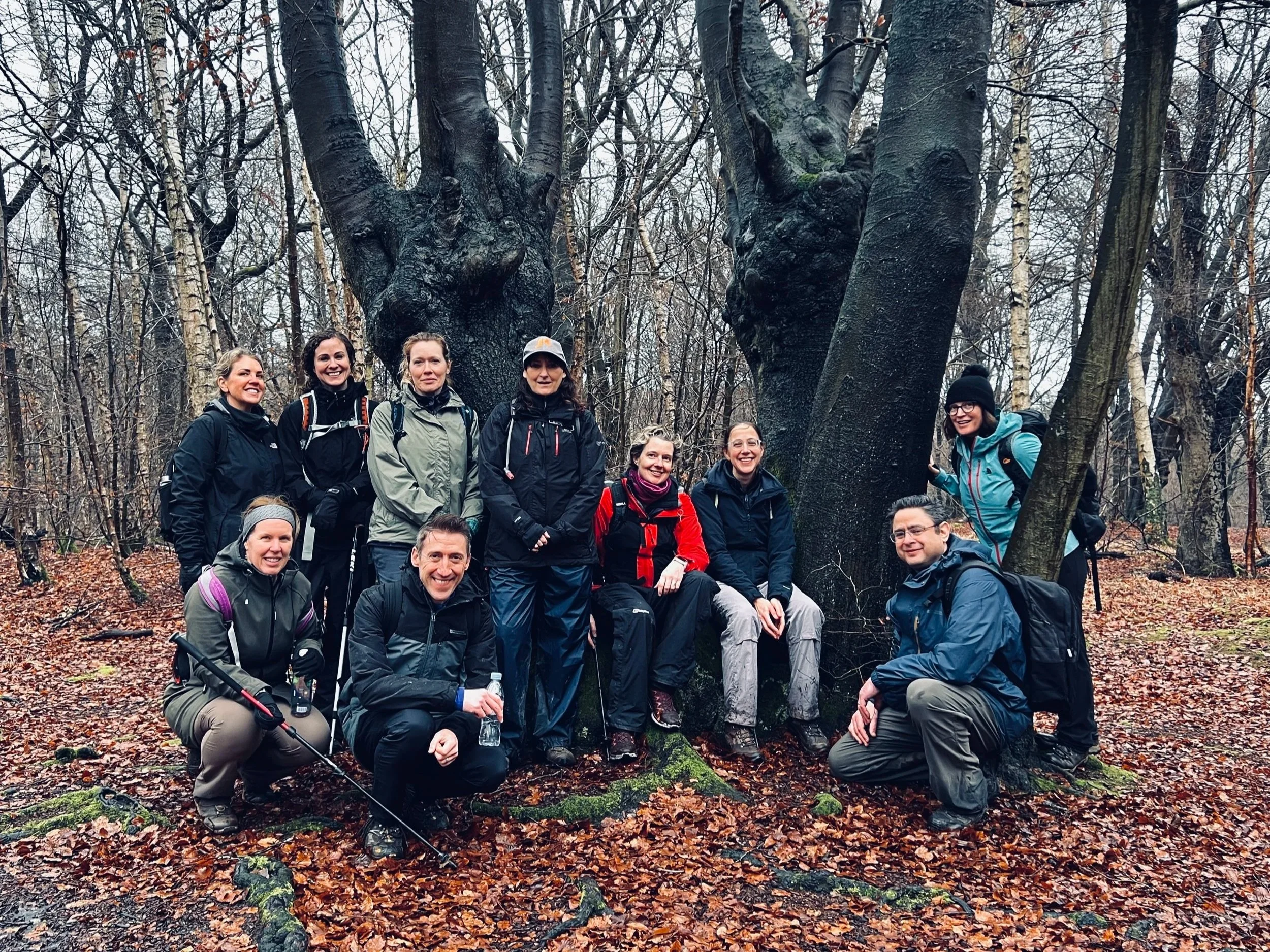 Epping+Forest+Guided+Walk+London+Hiking.jpg