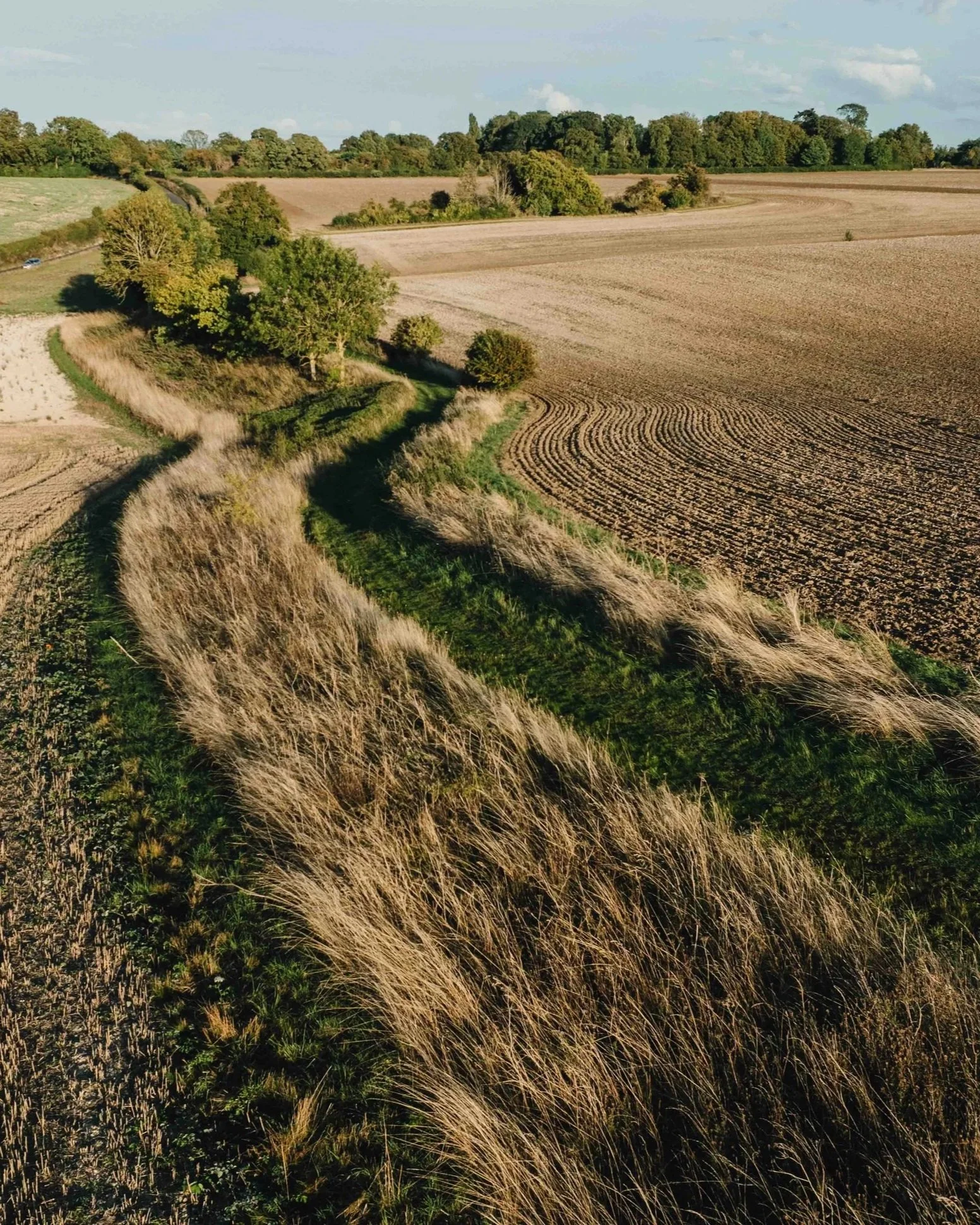 Icknield+Way+walk+Baldock+to+Royston+Hertfordshire+Countryside+Walk+Icknield+Way+Day+Hike+Ancient+Route+Baldock+Walking+Trail90.jpg.jpg