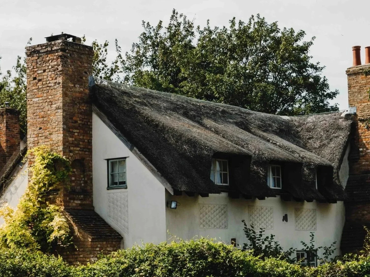 Icknield%2BWay%2Bwalk%2BBaldock%2Bto%2BRoyston_1%2BHertfordshire%2BCountryside%2BWalk%2BIcknield%2BWay%2BDay%2BHike%2BAncient%2BRoute%2BBaldock%2BWalking%2BTrail-14.jpg