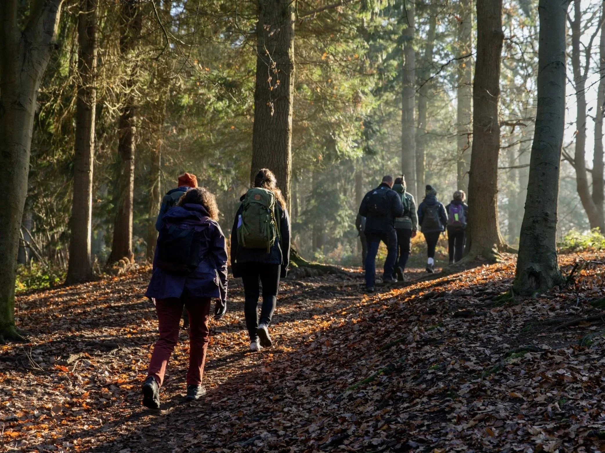 Best%2BWalks%2BIn%2BSurrey%2BBest%2BWalks%2Bin%2BNorth%2BDowns%2B1.jpg