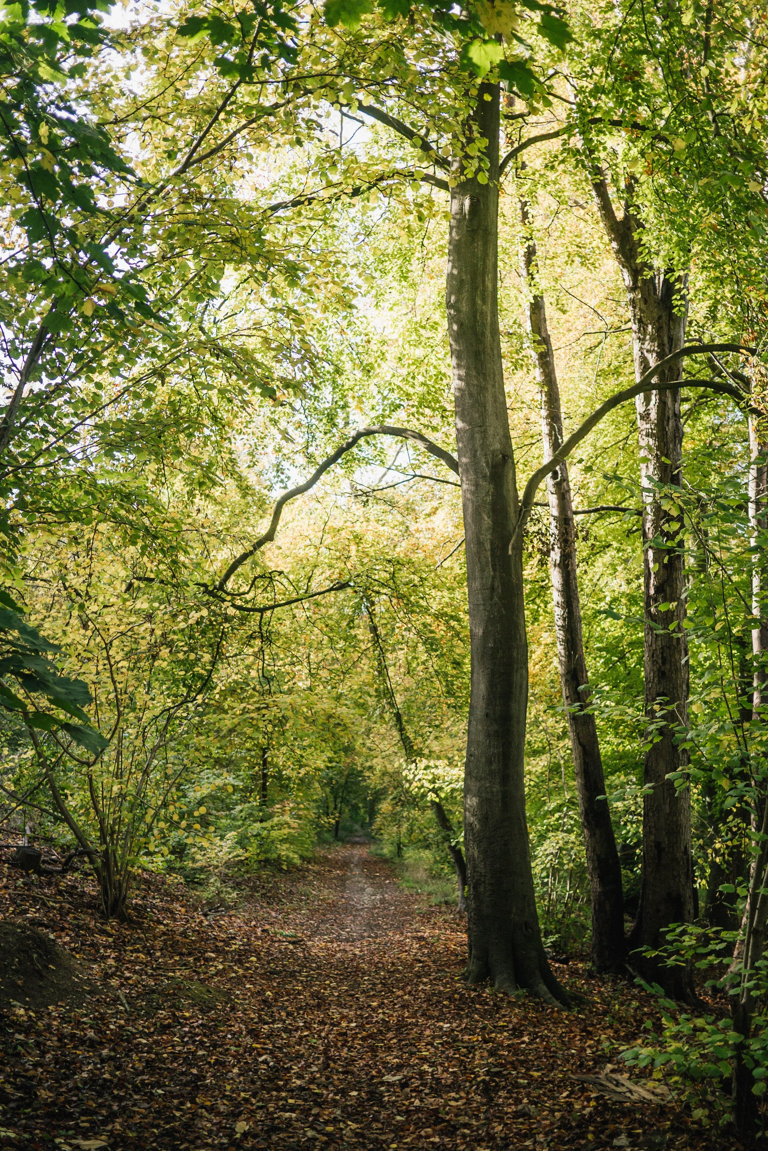 best-countryside-walks-near-london-guided-walks-from-london-marlow-cookham-.jpg-12.jpg