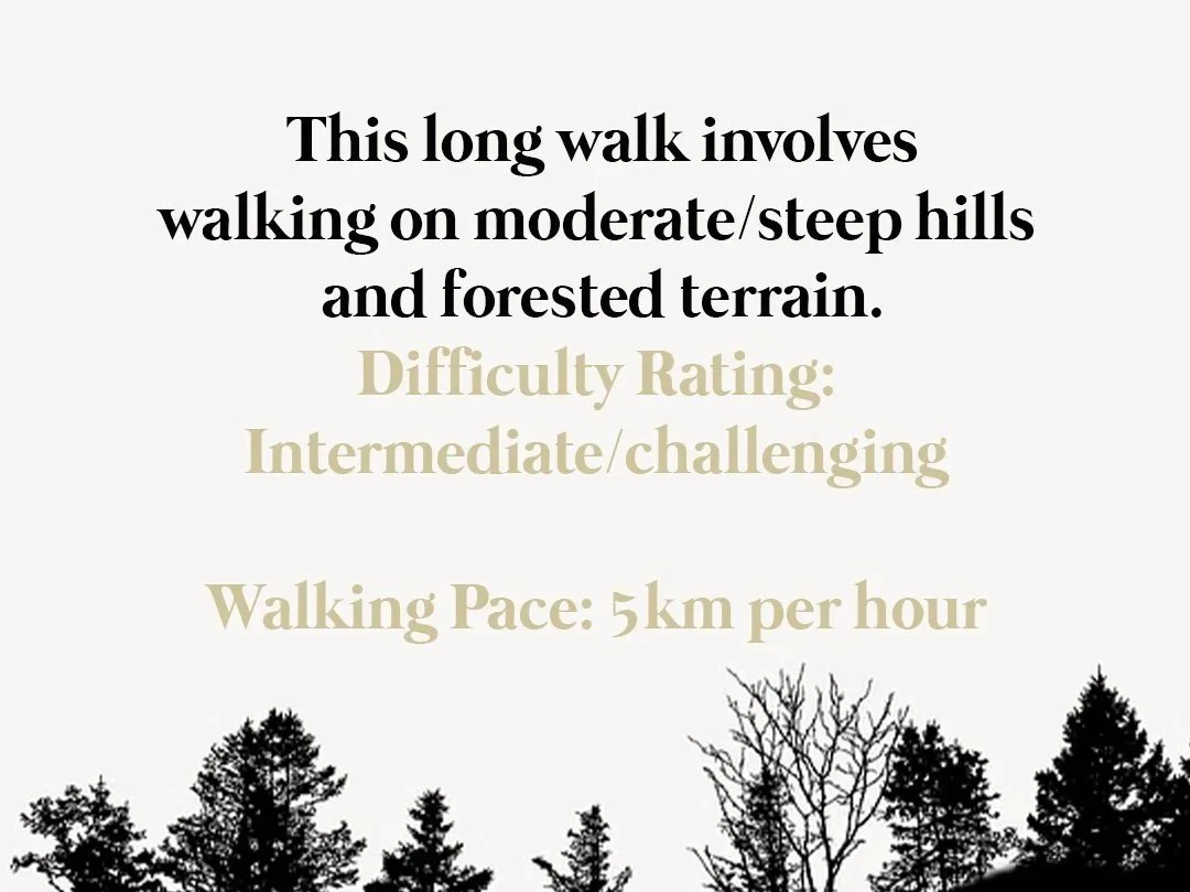 Ivinghoe+Beacon+Walks+in+the+Chilterns+Walks+near+London.jpg