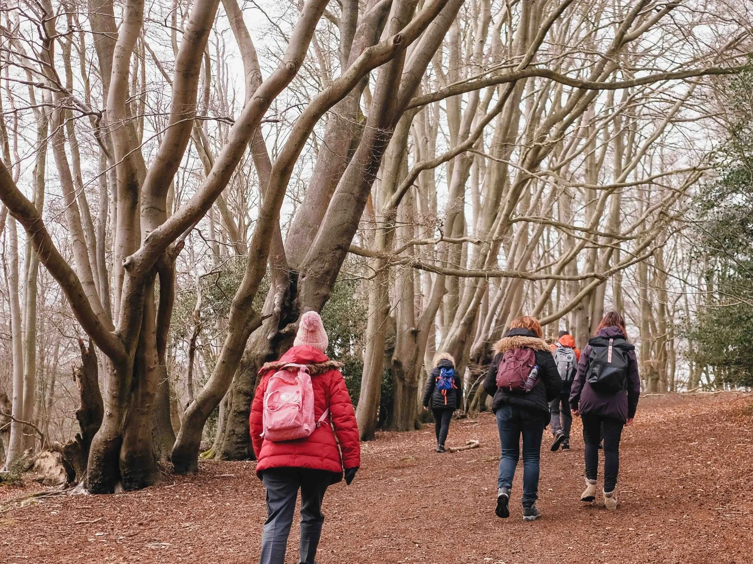 Epping+Forest+Walks+Best+Walks+in+the+Chilterns+Best+Walks+Near+London-8.jpg