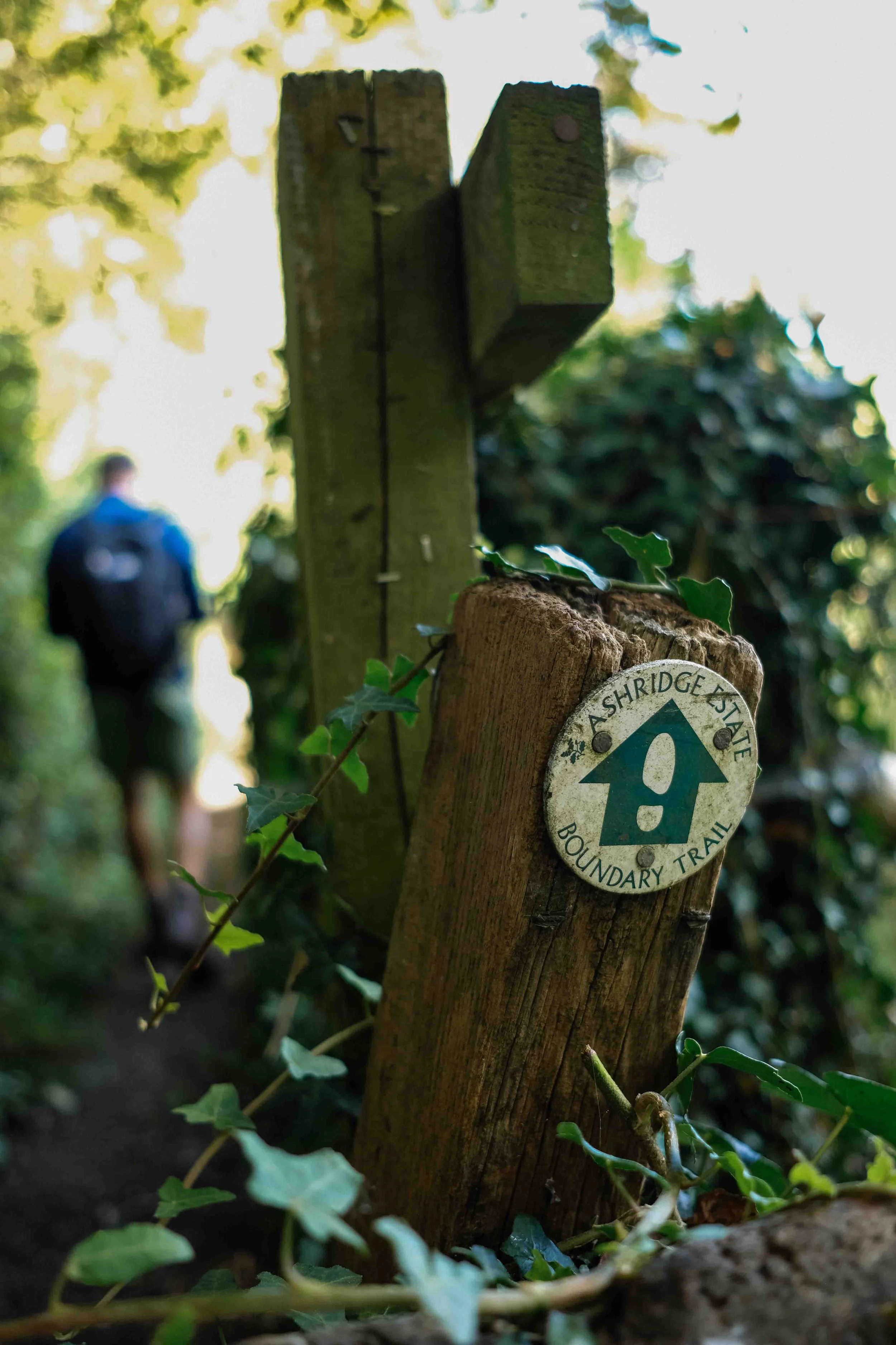 Map and Compass Training Near London Map Reading Near London.jpg