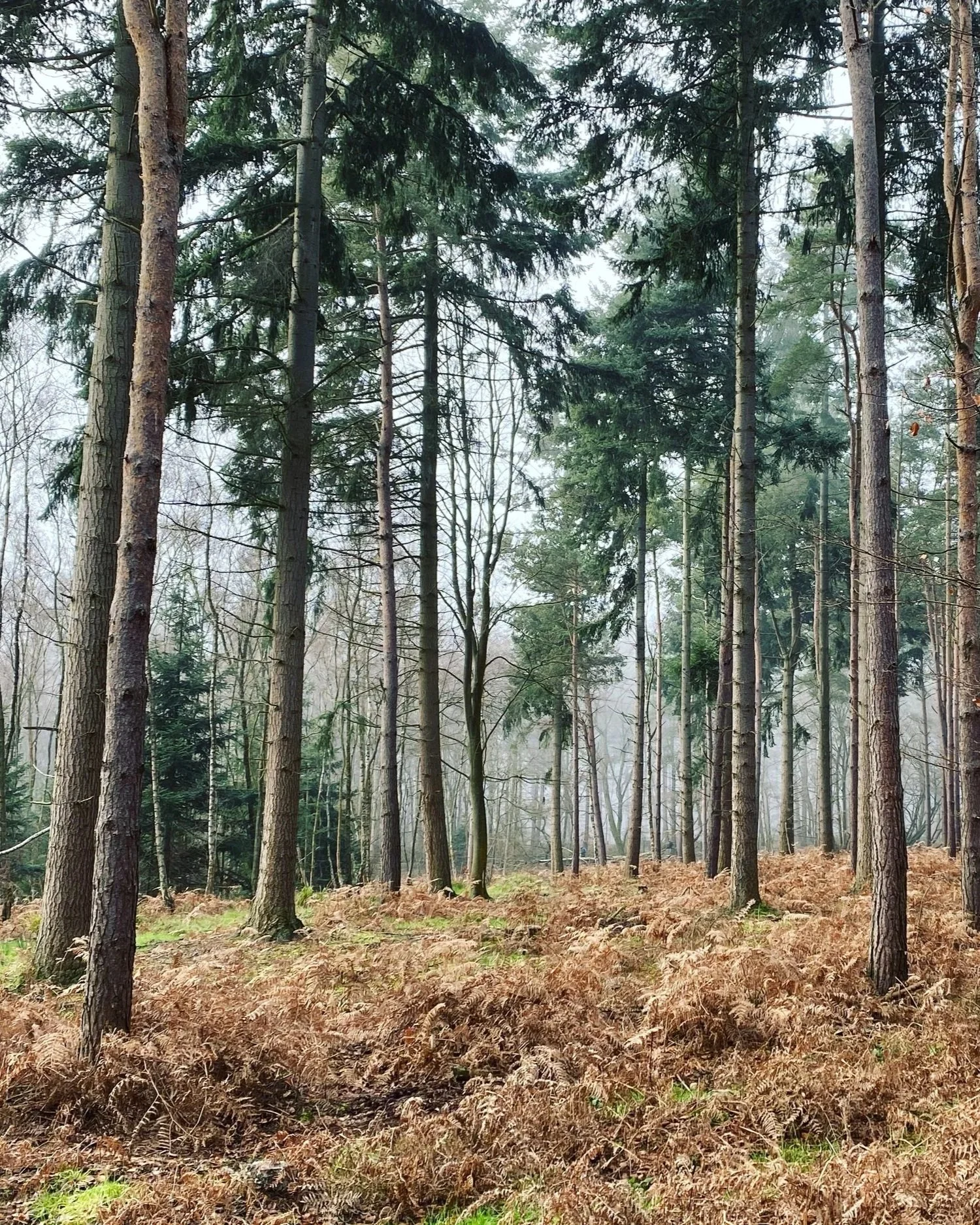 Cuffley+To+Hertford+Hike+10.jpg