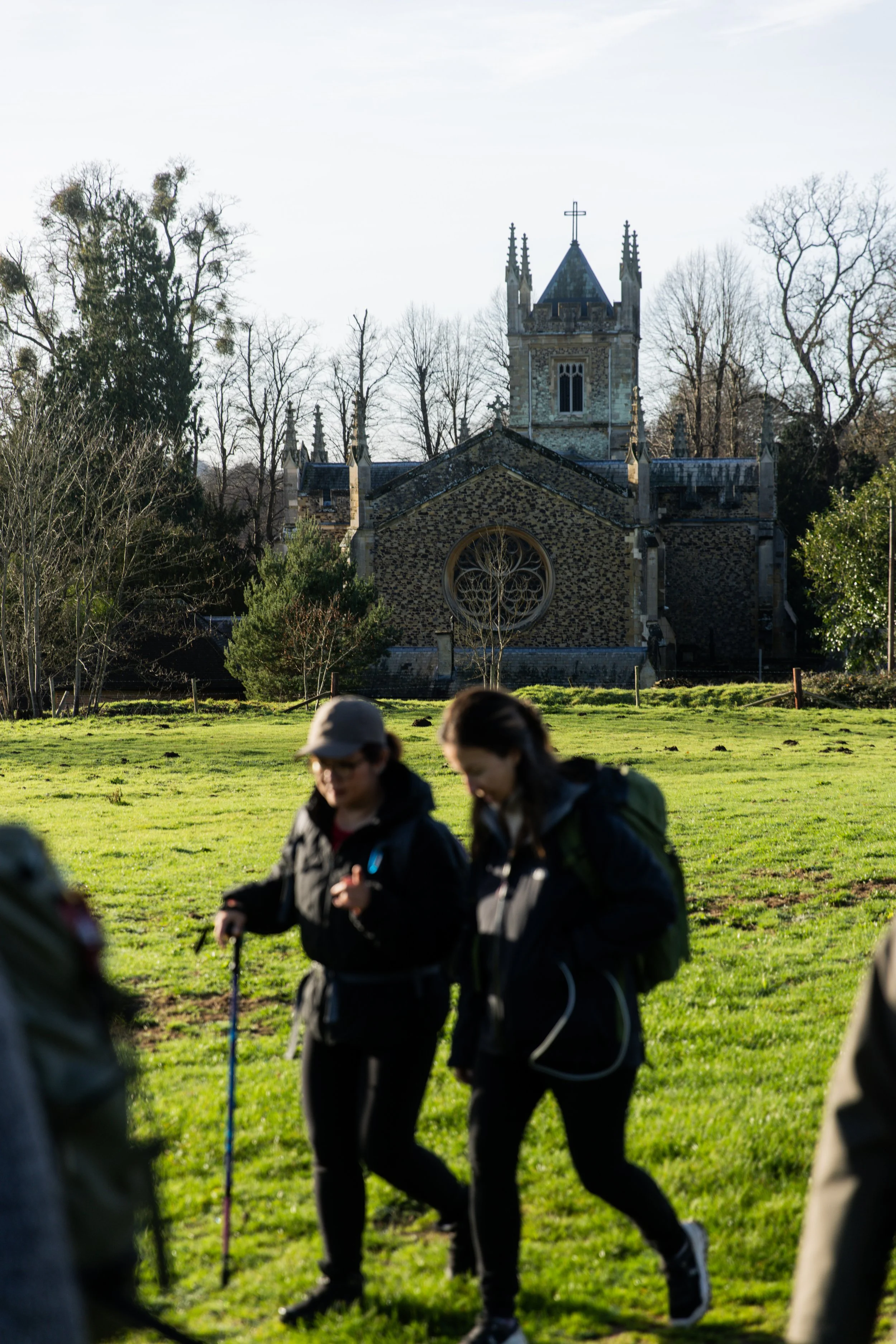 Best Walks In Surrey Best Walks in North Downs 5.jpg