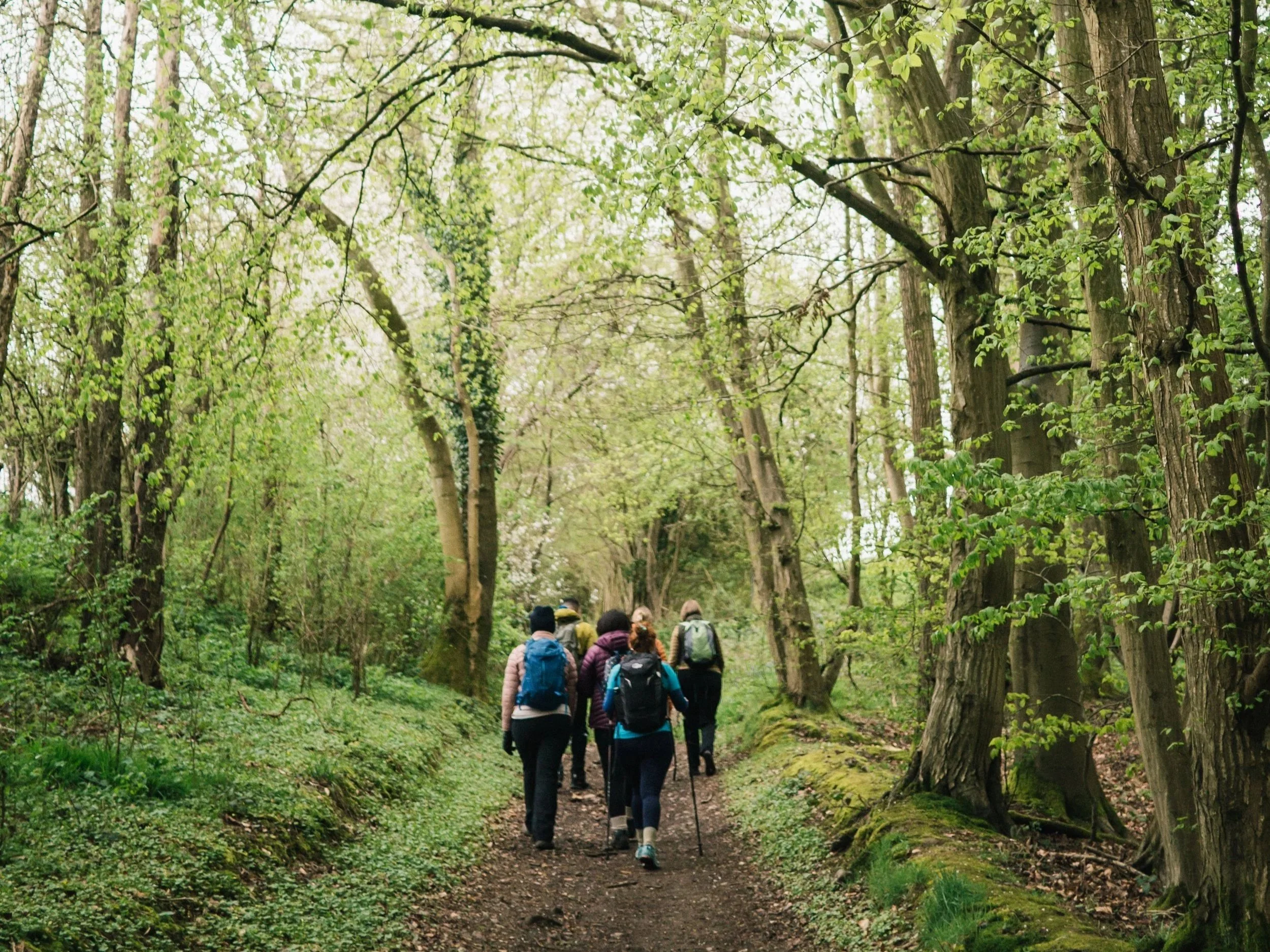 Best+walks+near+london+chess+river+valley+walk+river+chess+walk+amazing+walks+near+london+1-2.jpg