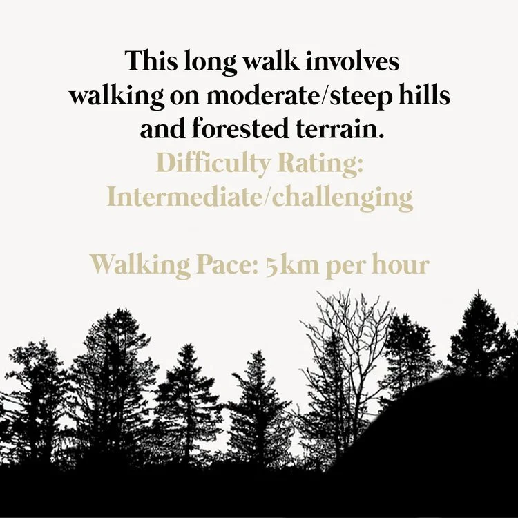 Wendover Walks Ridegeway National Trail Walks in Wendover.jpg