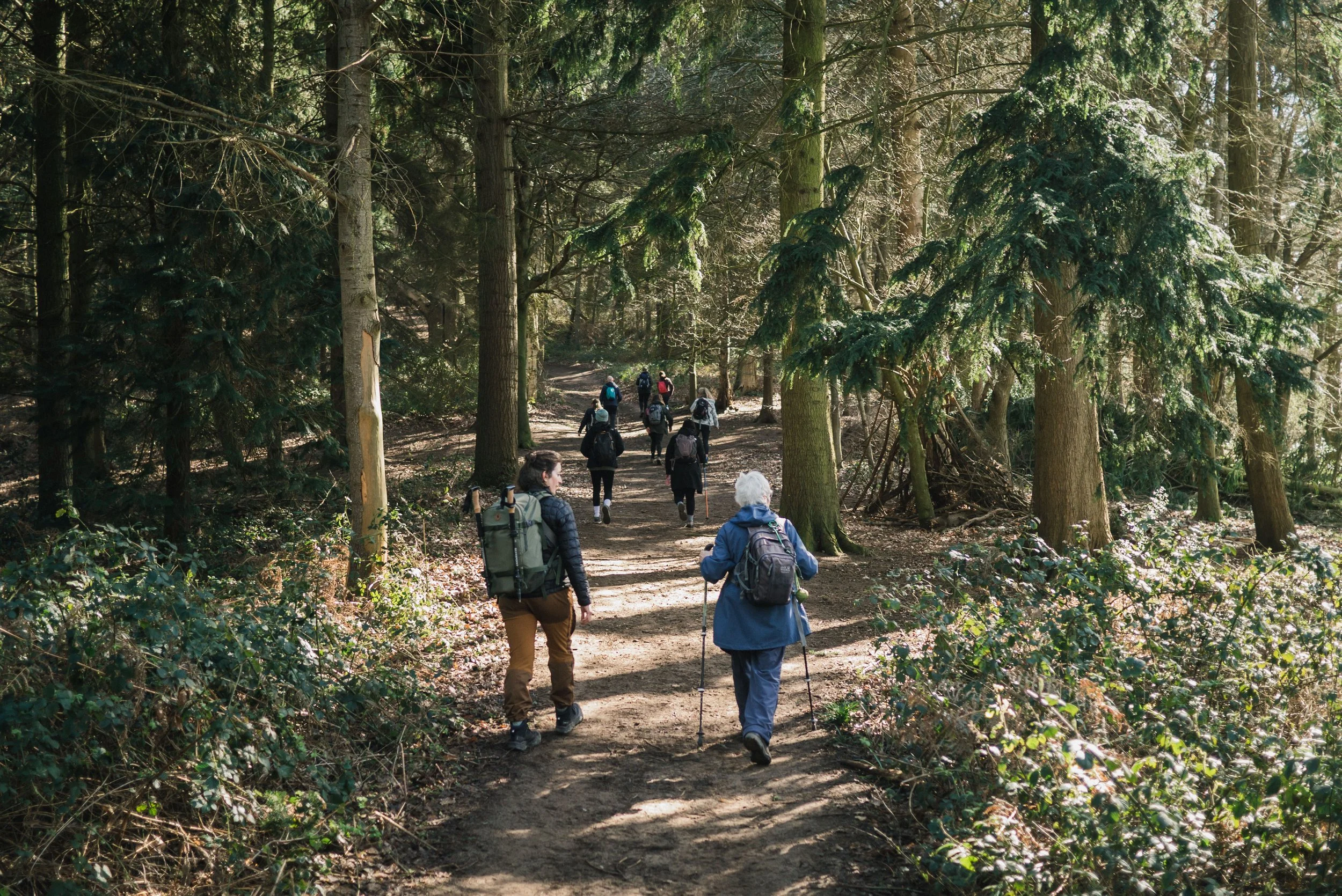 Best Walks in the North Downs Best Surrey St Walks Martha Churchs Walks Best Walks In Shere Village Amazing Surrey Walks -11.jpg