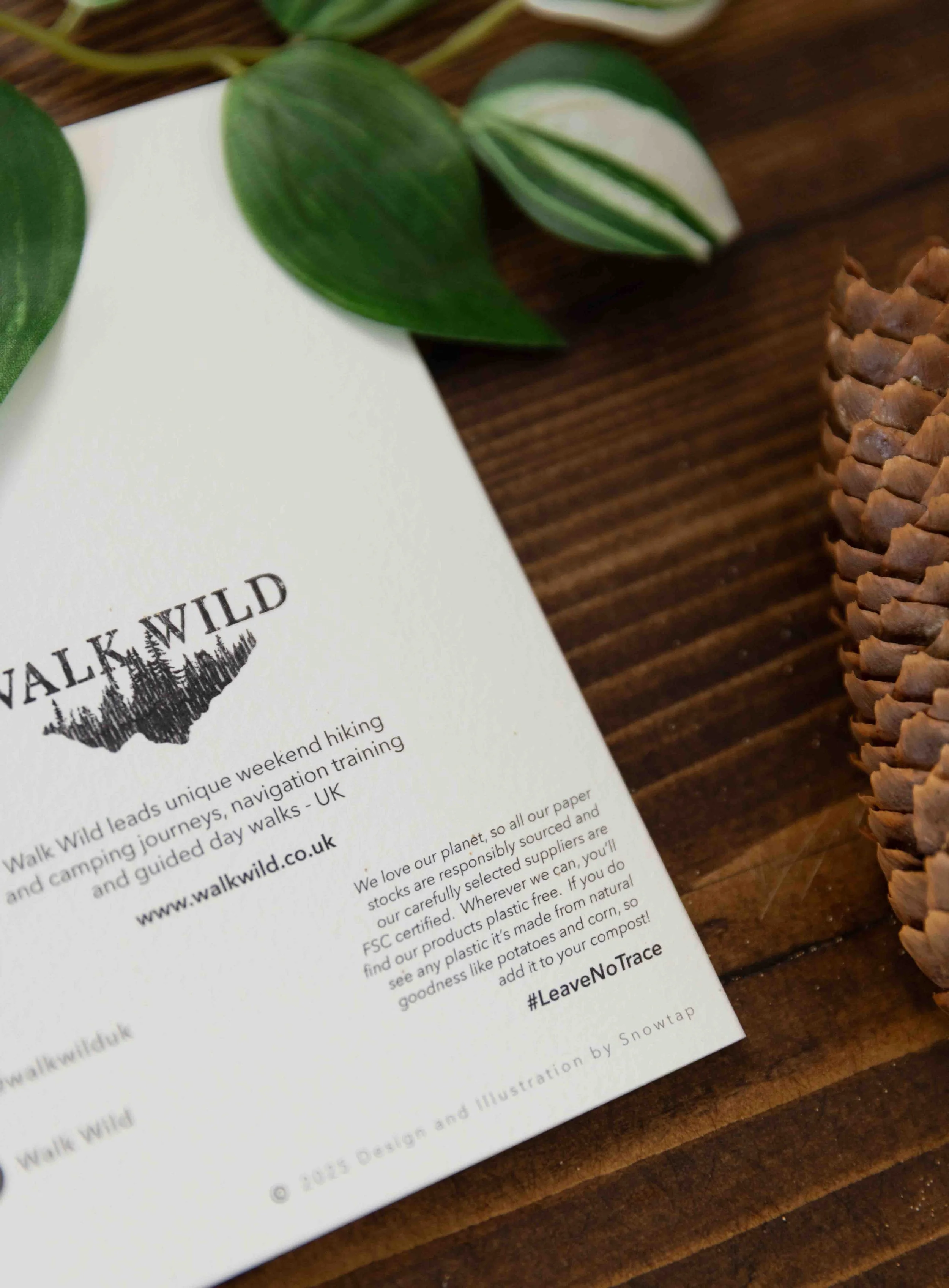 Tree Ring Greeting Card Nature-Inspired Birthday Card Greeting Card Minimalist Hiking & Adventure Card-31.jpg (Copy)