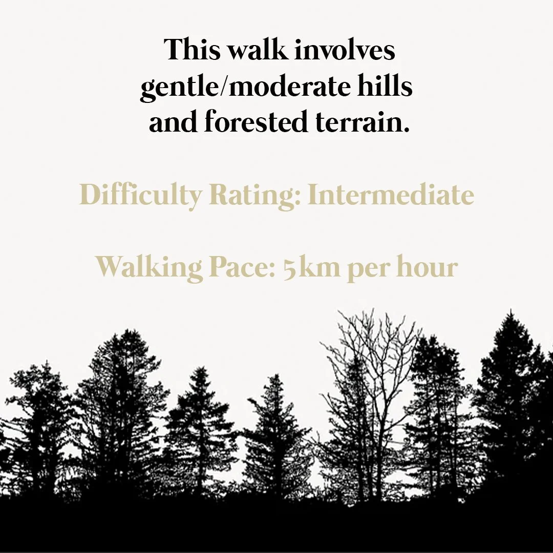 Walking in Epping Forest Walks in Essex.jpg