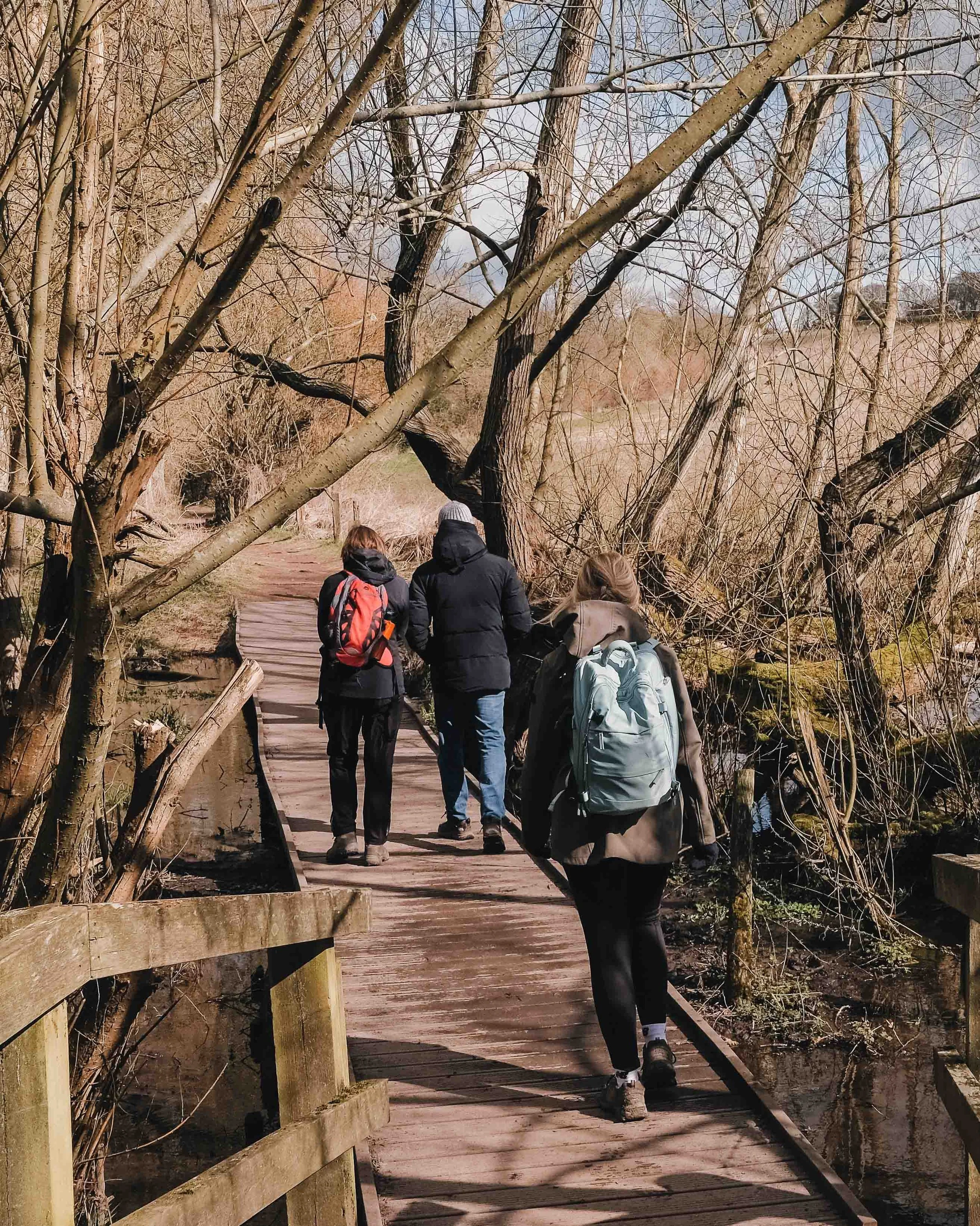 Chess River Walk Sarratt Best Walks in the Chilterns_.jpg