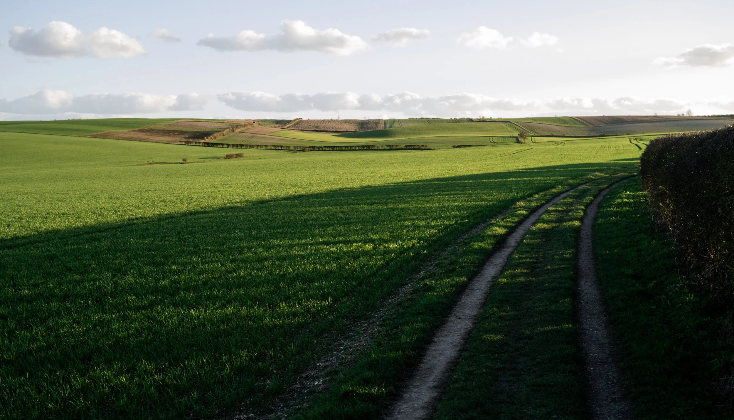 BALDOCK TO ROYATON LONDON WALKS BEST WALKS NEAR ME 7.jpg