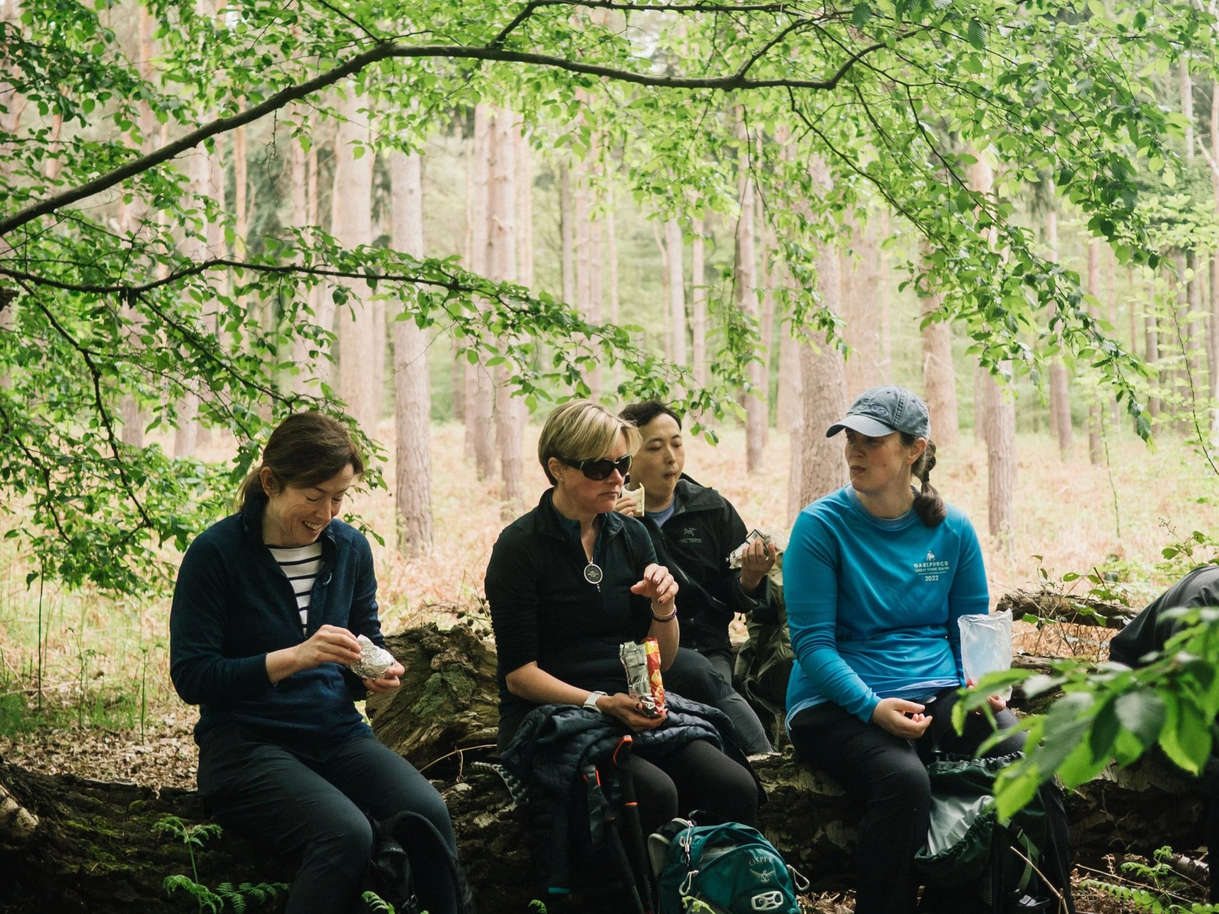 Walking+The+Hertfordshire+Way+Guided+Walks+In+Hertfordshire+Guided+Walks+in+london+Guided+Walks+Near+Me+1-10.jpg