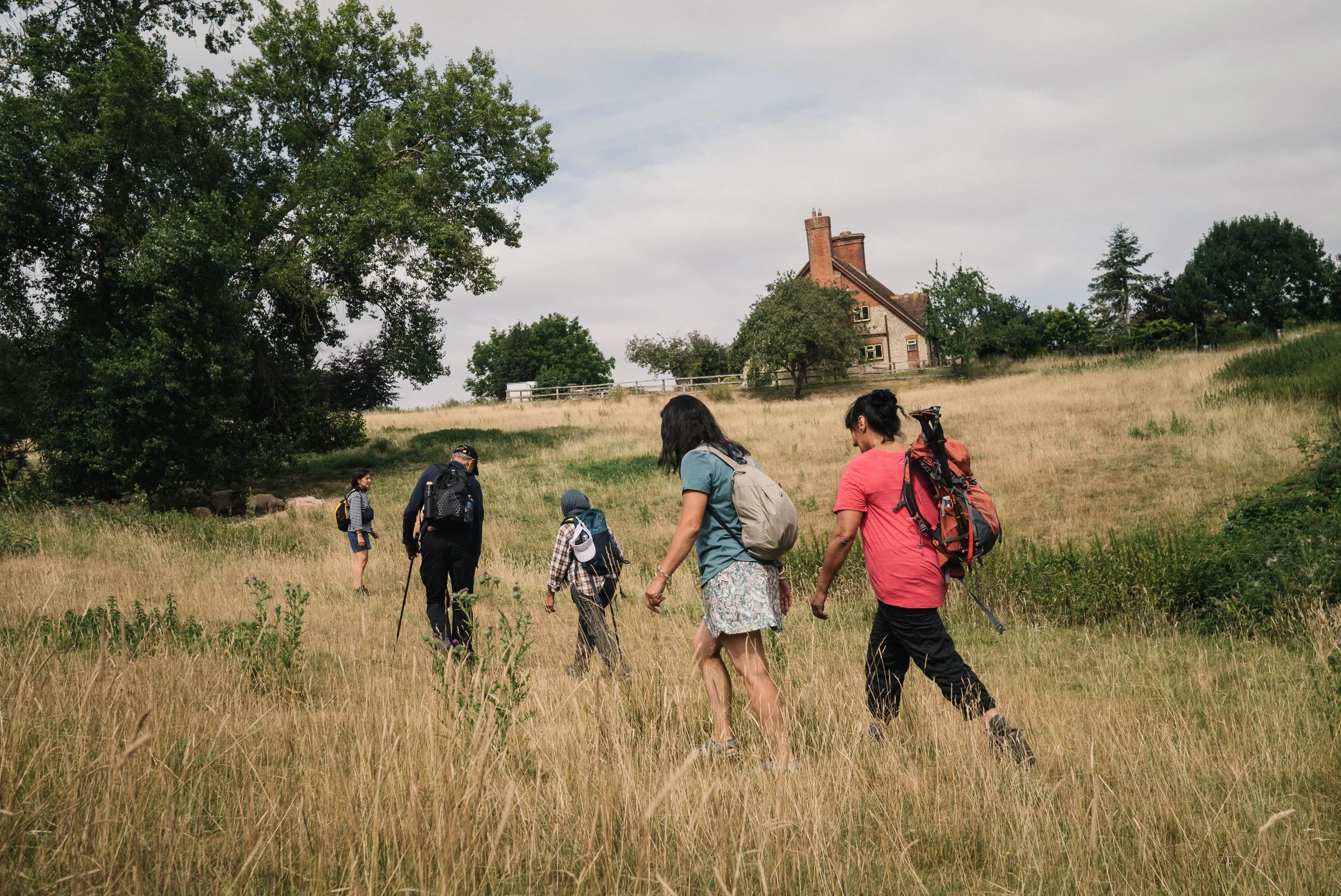amaxzing walks in the chilterns hills best walks near london beautiful walks near london chilterns hills walks near a train station.jpg