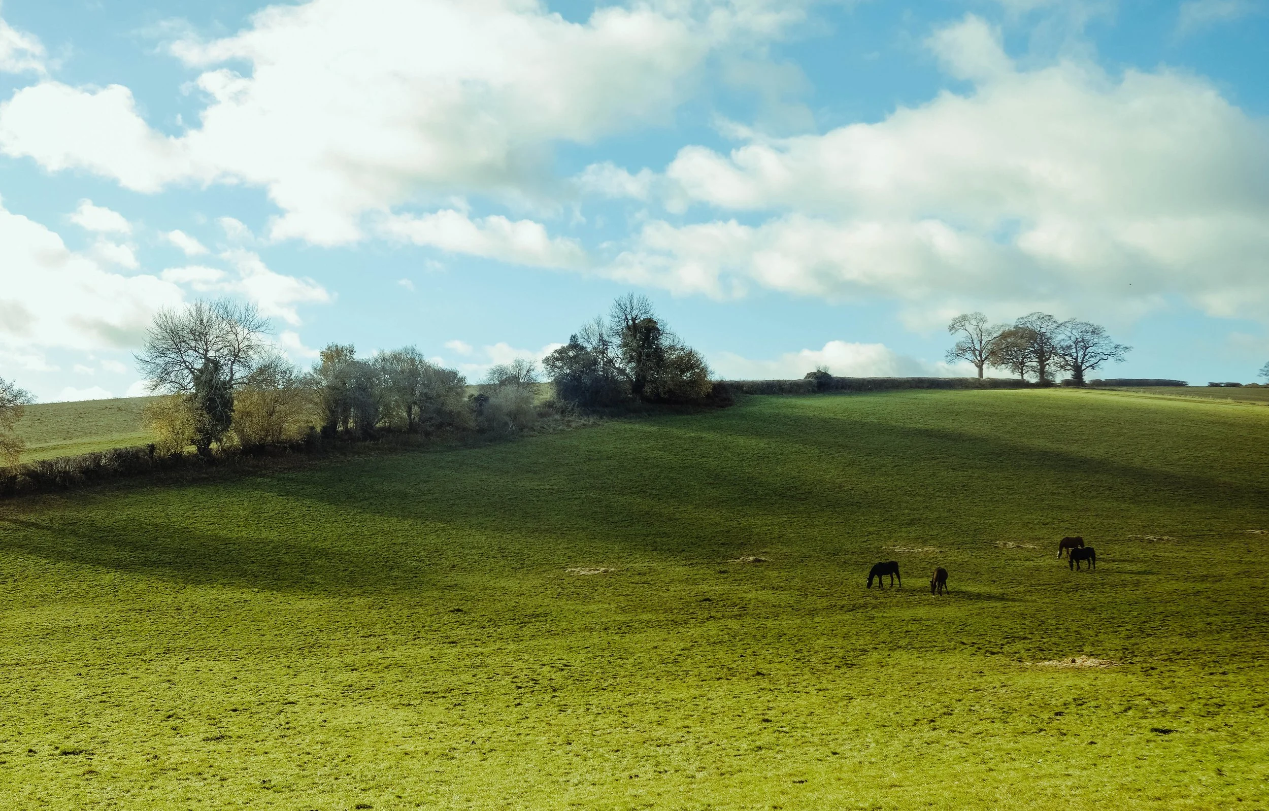 Navigation Training Near London Map and Compass Skills neart London.1-5.jpg