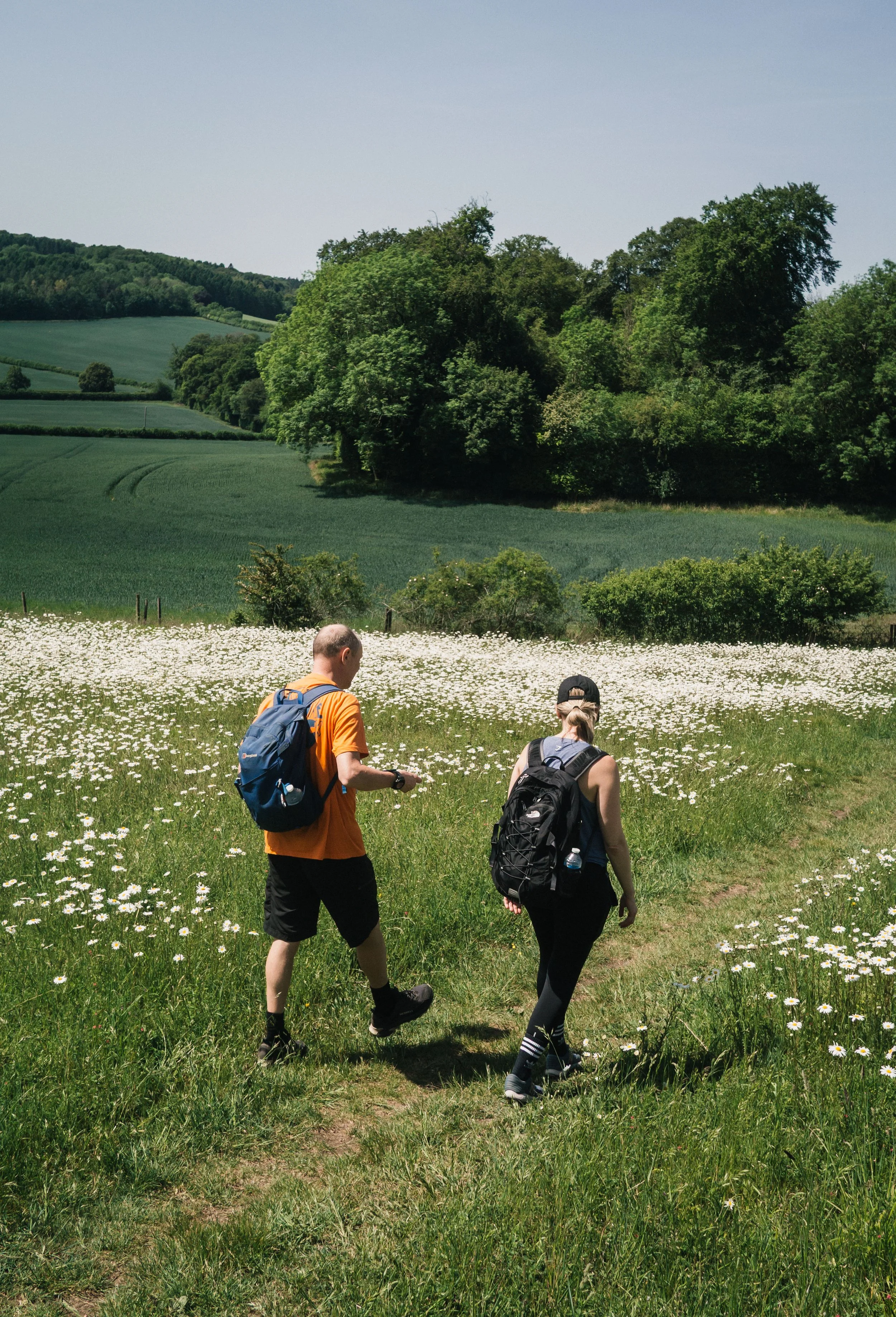 Amazing walks in the chilterns amazing walks near london chilterns best walks wendover walks -14.jpg