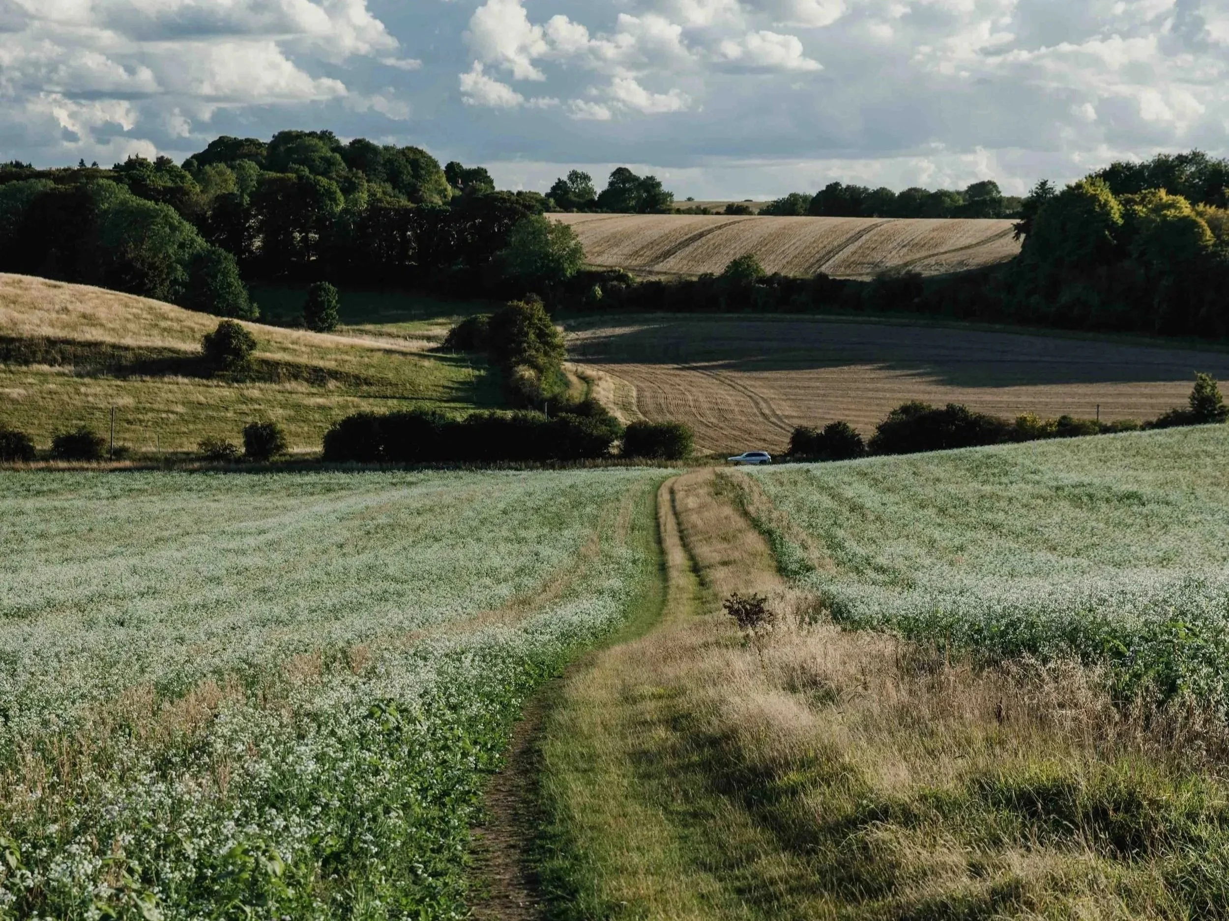 Icknield%2BWay%2Bwalk%2BBaldock%2Bto%2BRoyston_Hertfordshire%2BCountryside%2BWalk%2BIcknield%2BWay%2BDay%2BHike%2BAncient%2BRoute%2BBaldock%2BWalking%2BTrail_16-6.jpg