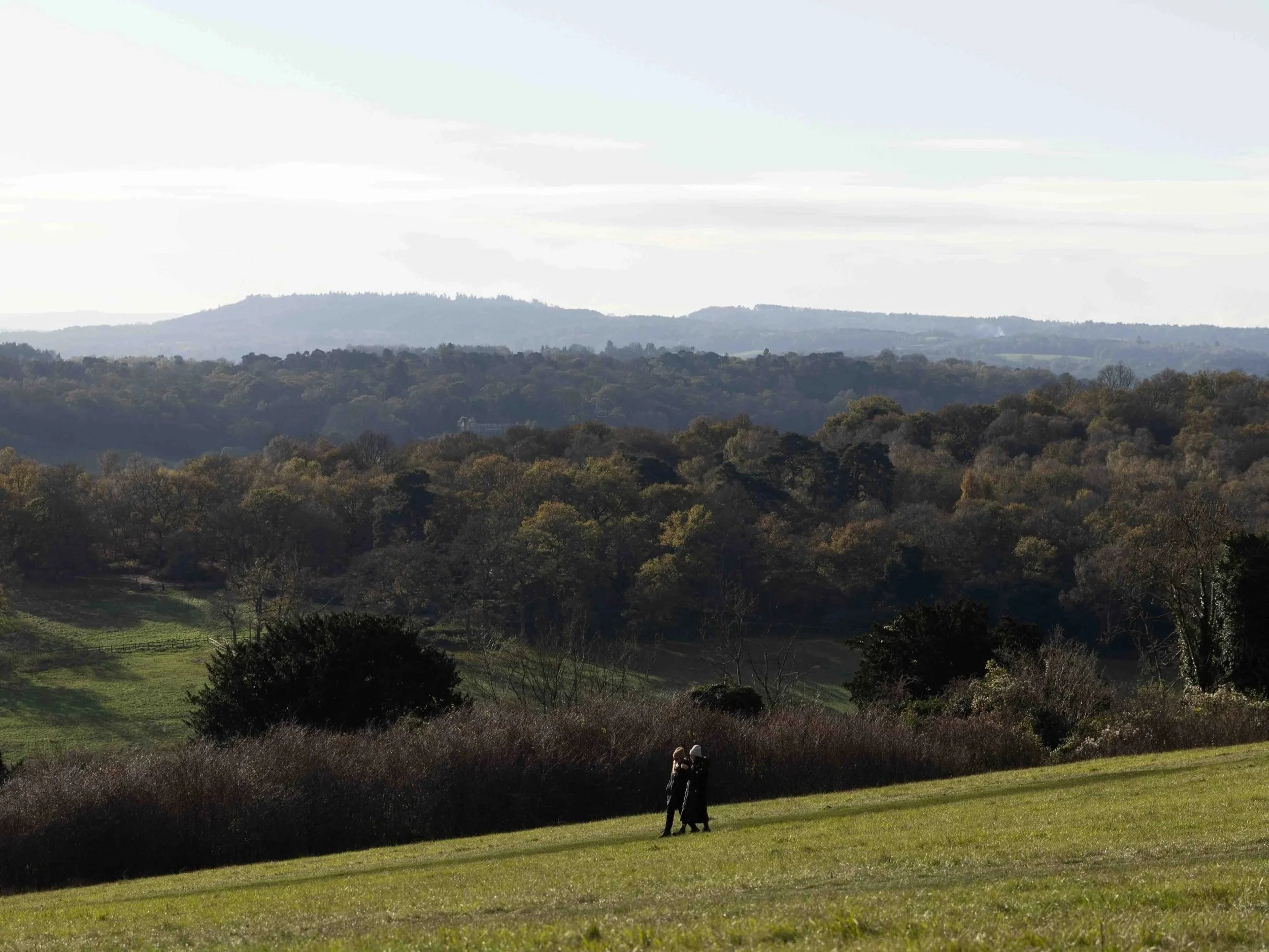 Best+walks+near+London+%E2%80%93+Surrey+Hills+North+Downs+Way+from+Shere%2C+scenic+countryside+hiking+route%2C+join+us+for+guided+Surrey+Hills+walking+adventures+3.jpg