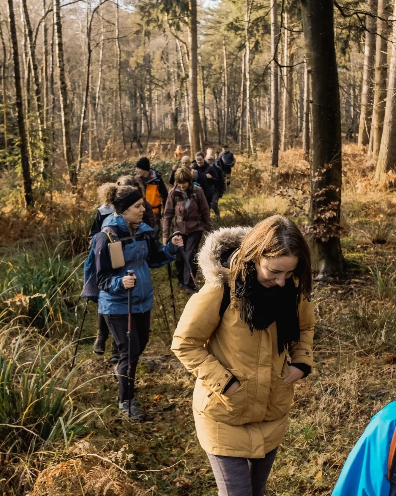 Hertfordshire+Way+Cuffley+to+Hertford+Hertfordshire+Hike+Trekking+11.jpg