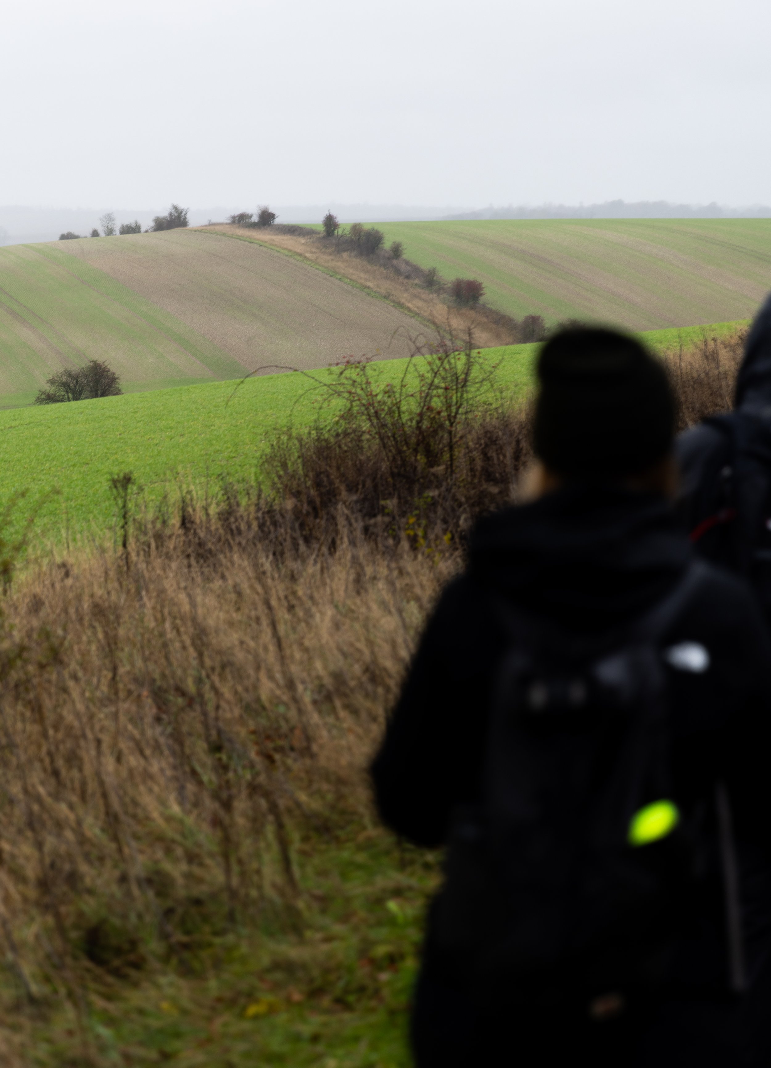 walking-the-icknield-way-guided-walks-best-walks-near-london-baldock-to-royston 3.jpg