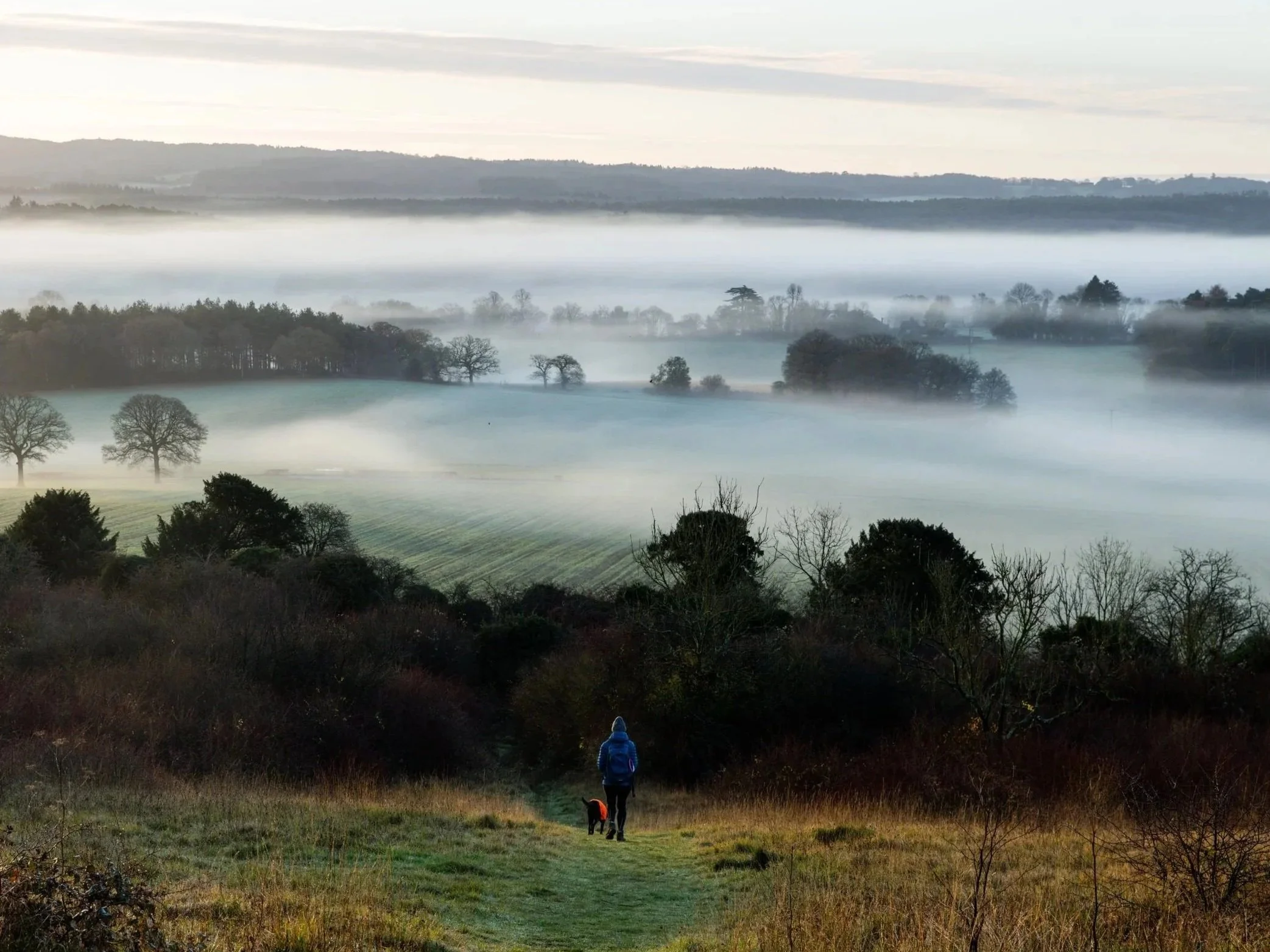 Best%2BWalks%2BIn%2BSurrey%2BBest%2BWalks%2Bin%2BNorth%2BDowns%2B2.jpg