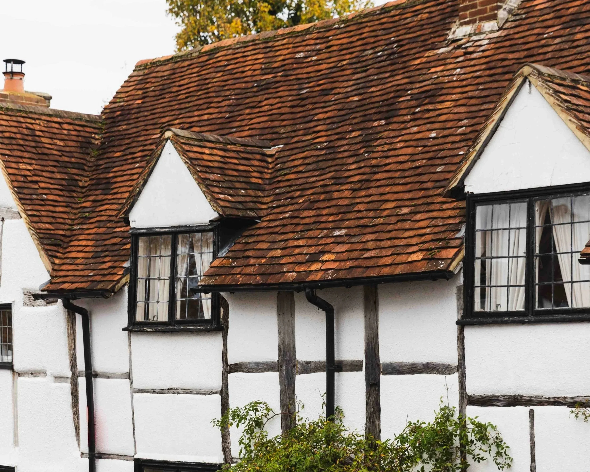 Walking+the+North+Downs+Way+from+Shalford+to+Shere%2C+scenic+countryside+trail+in+Surrey+Hills+hiking+in+surrey+hills+gomshall+hiking-13.jpg