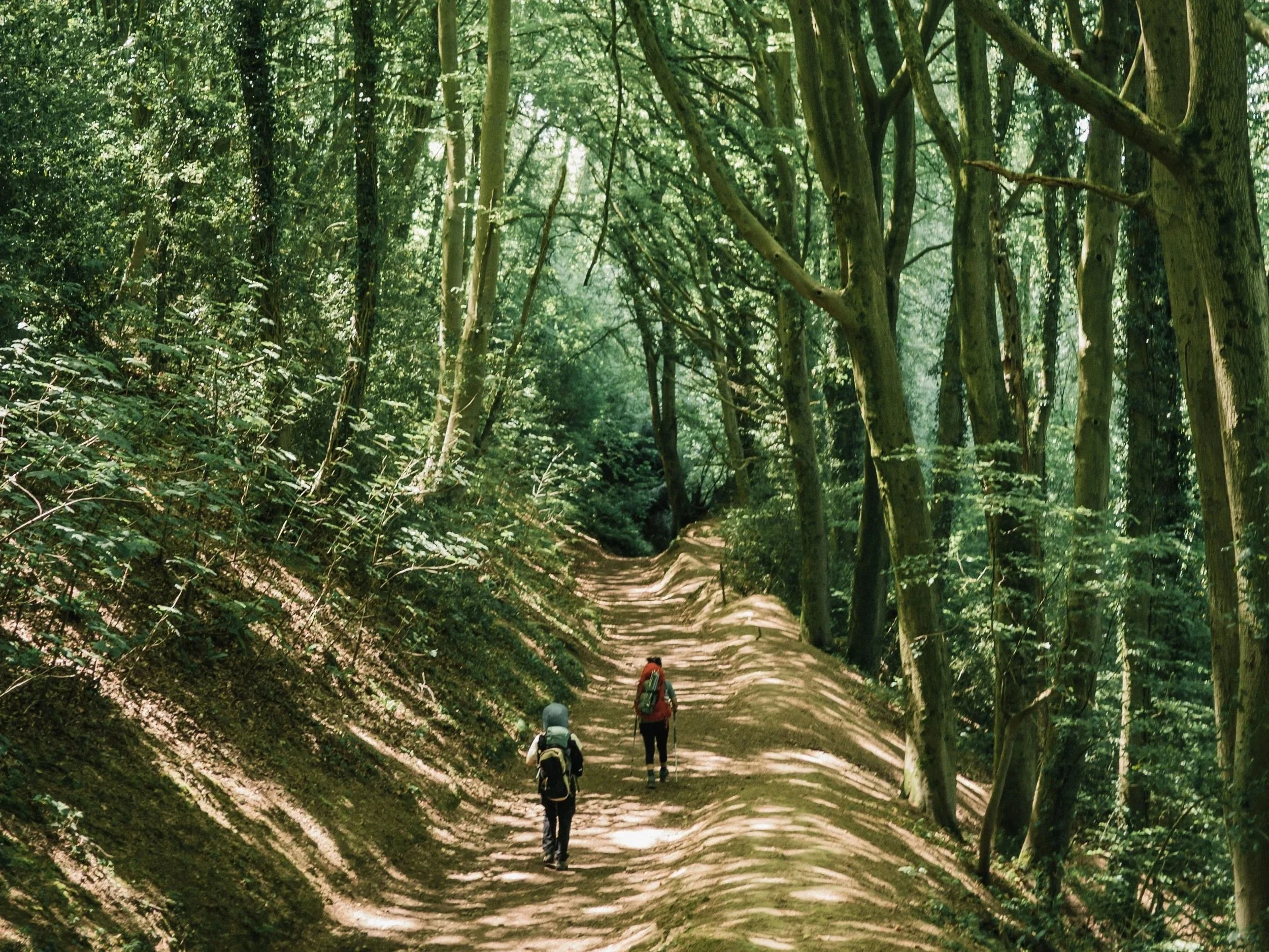 Wild+Camping+in+the+cotsowlds+Wild+camping+on+the+cotswolds+way+cotswolds+wild+camping+near+london-12.jpg