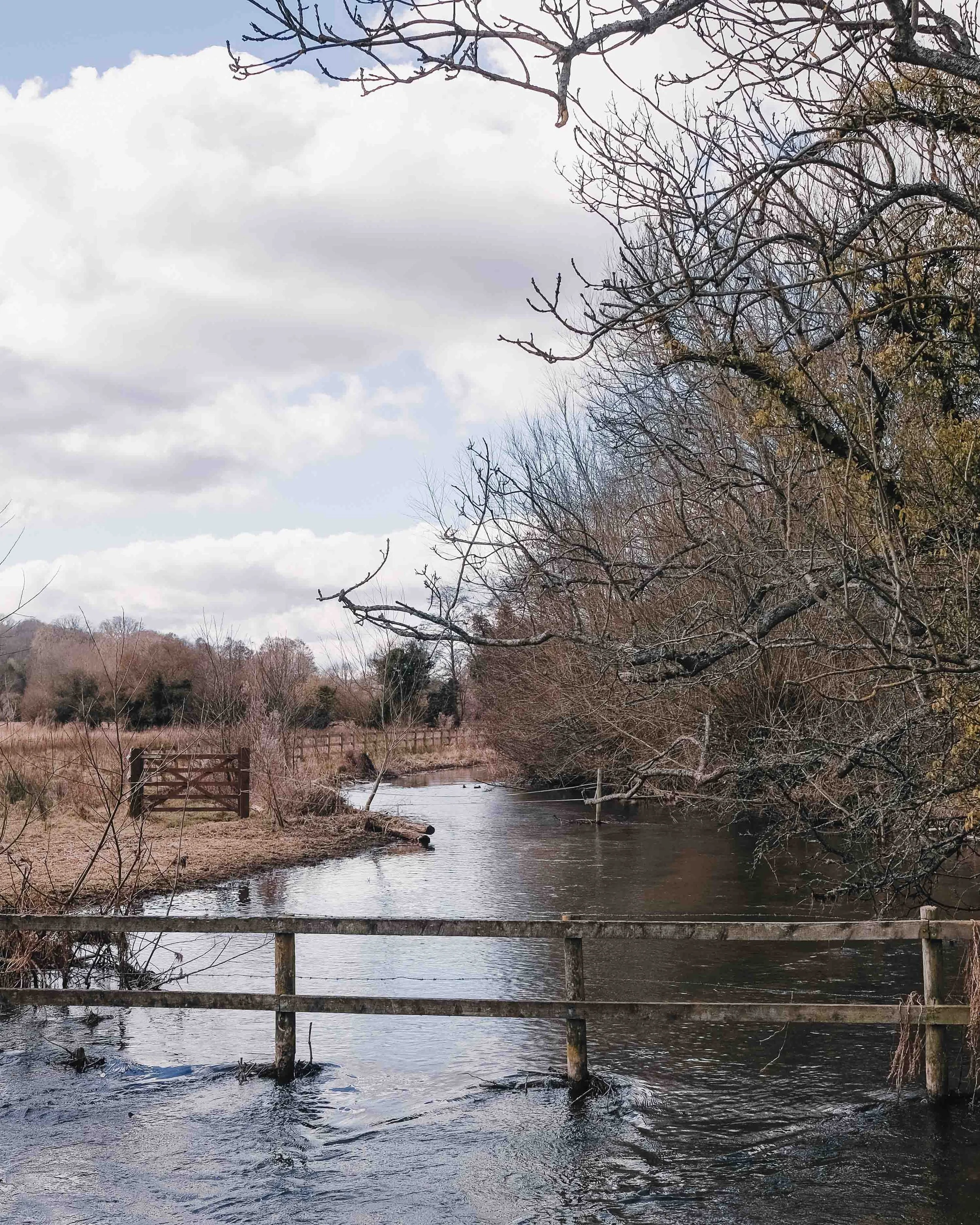 Chess River Walk Sarratt Best Walks in the Chilterns_-6.jpg