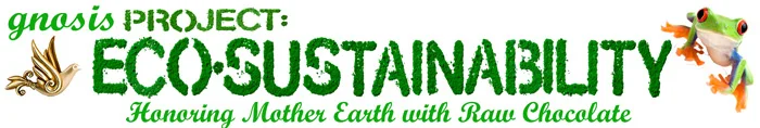 Eco-Sustainability.jpg