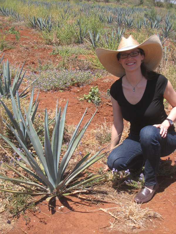 Agave-Plantation.png