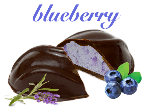BLUEBERRY EGG